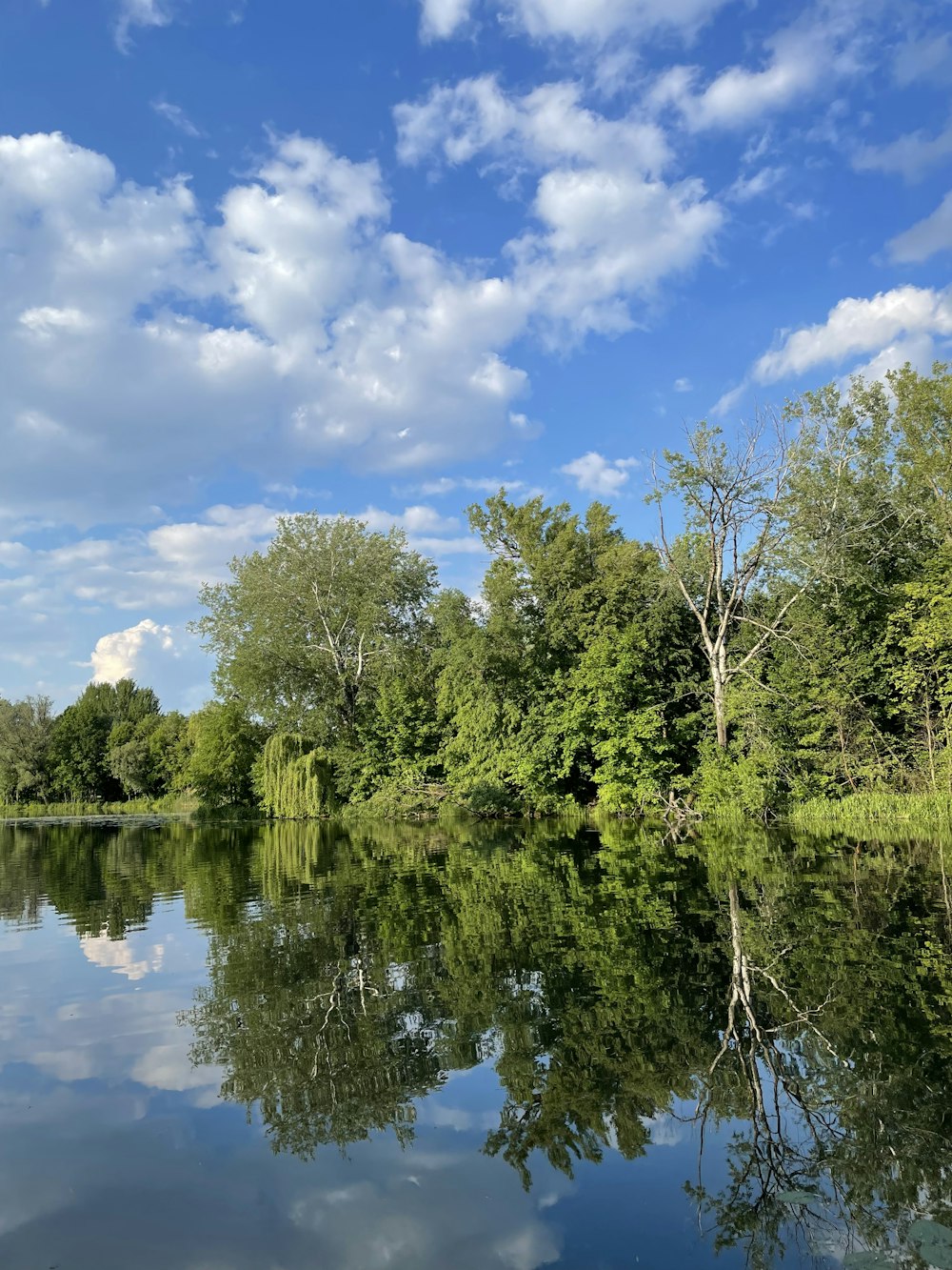 a body of water surrounded by trees and clouds