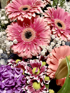 A vibrant bouquet featuring bright gerberas and lush eucalyptus leaves
