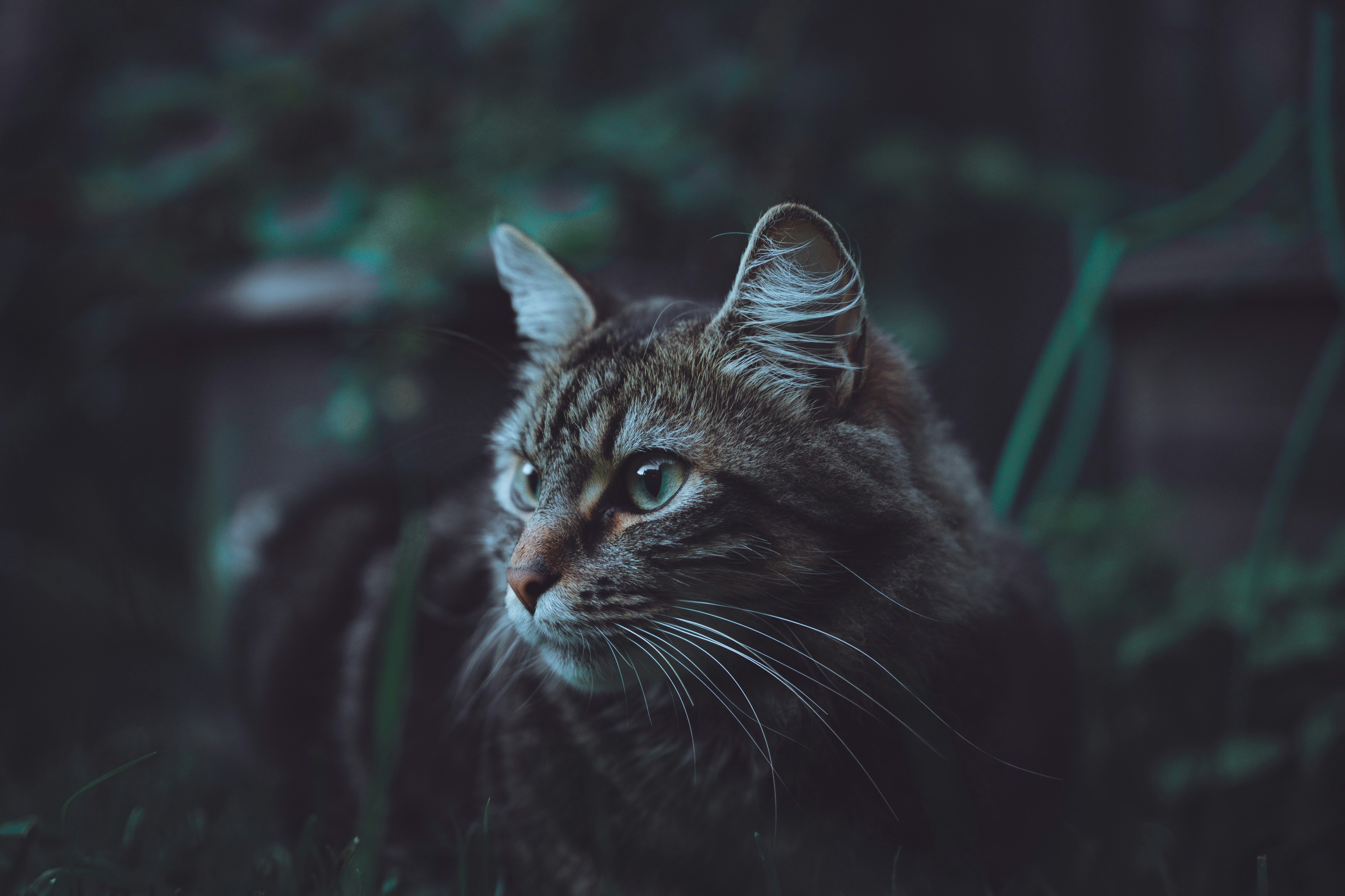 Photo by fiji_junior