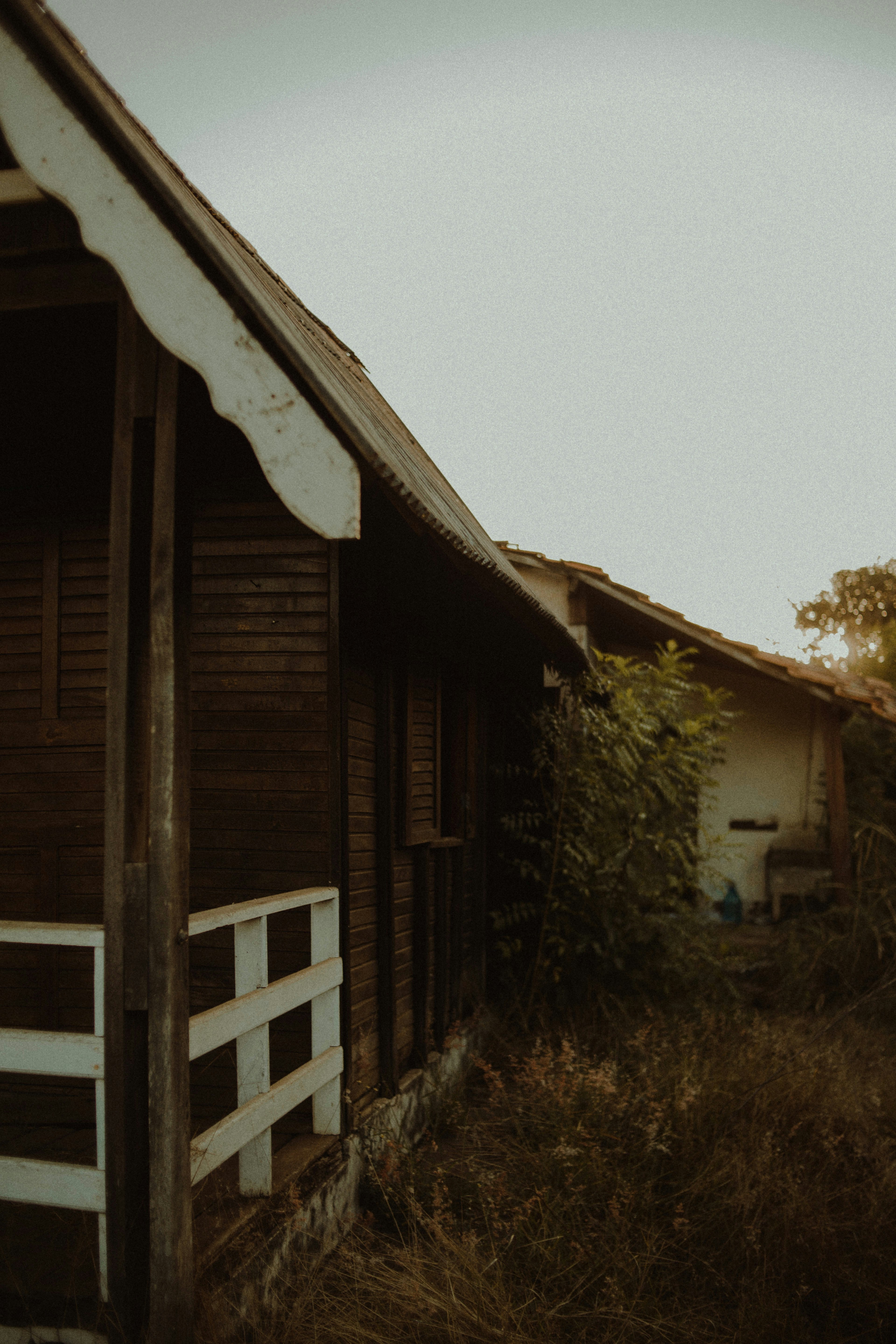 Photo by mirandanenee