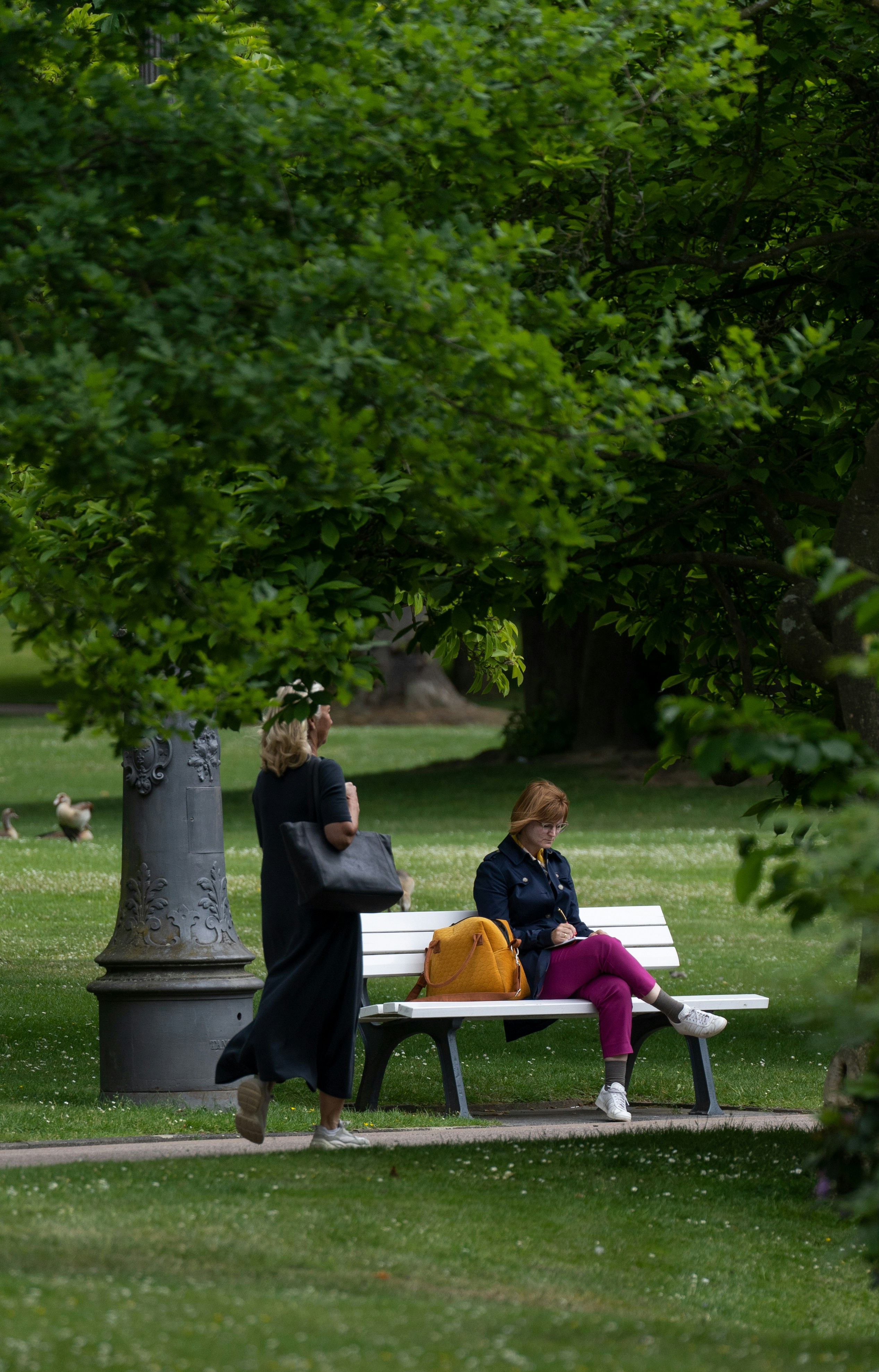 The Rubber Boom That Enslaved the Amazon