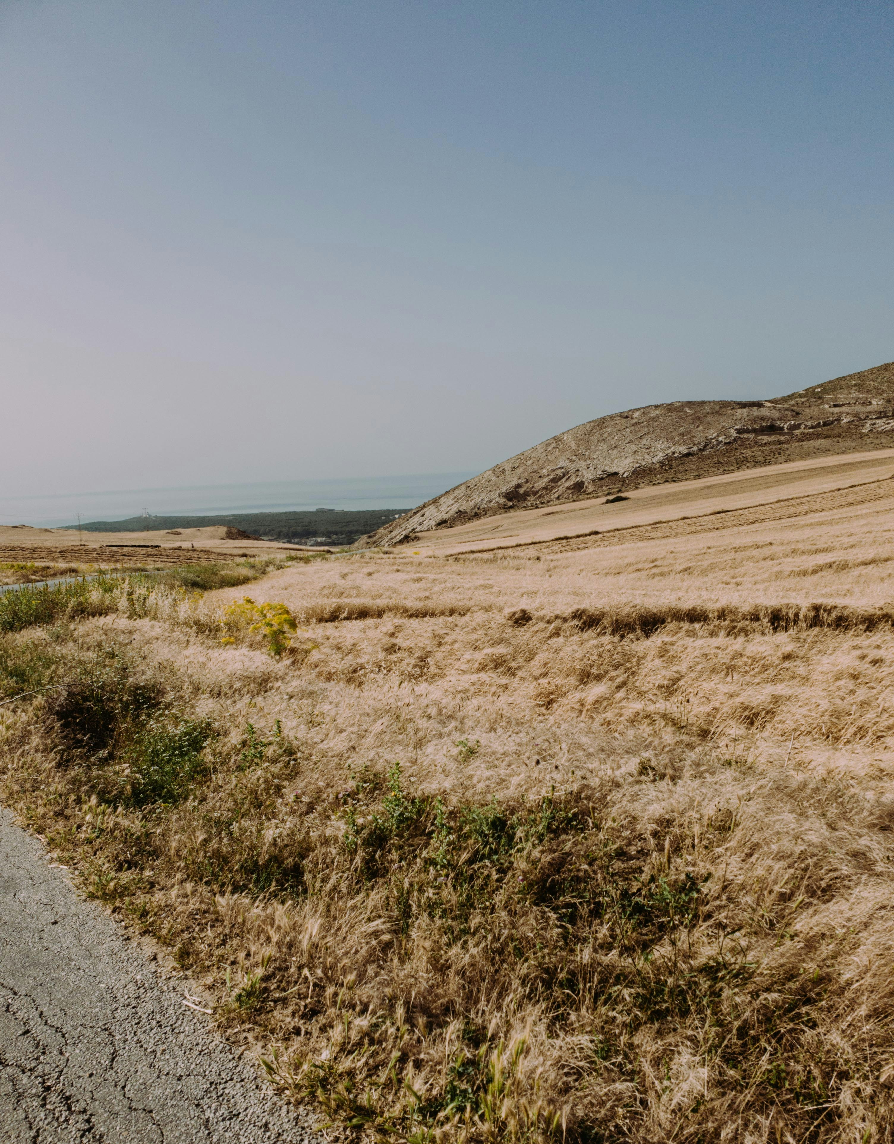 Photo by bilal_ayadi