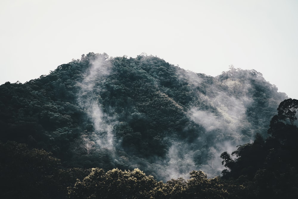 a mountain covered in clouds and trees