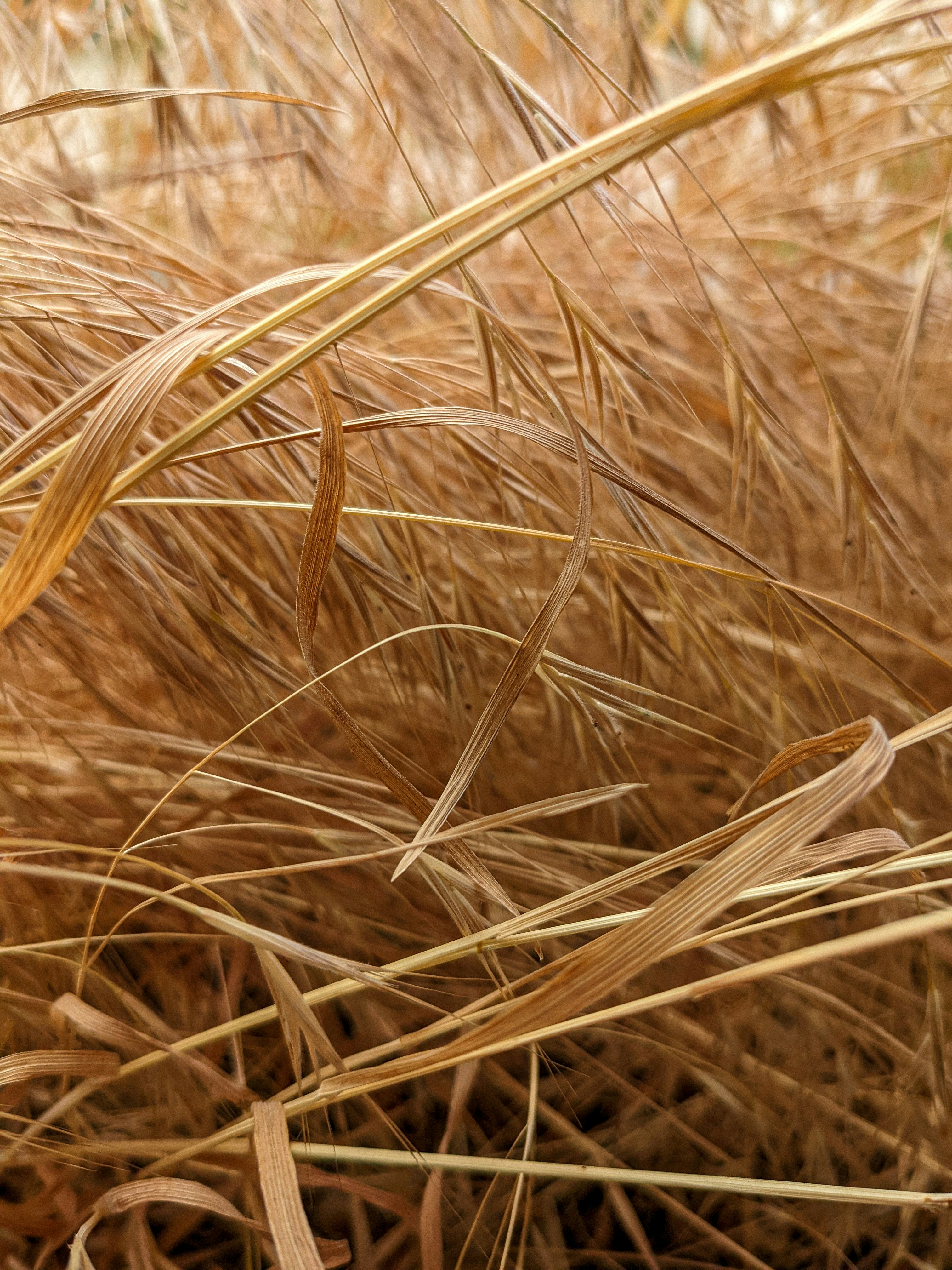 Photo by thecyclichedgehog