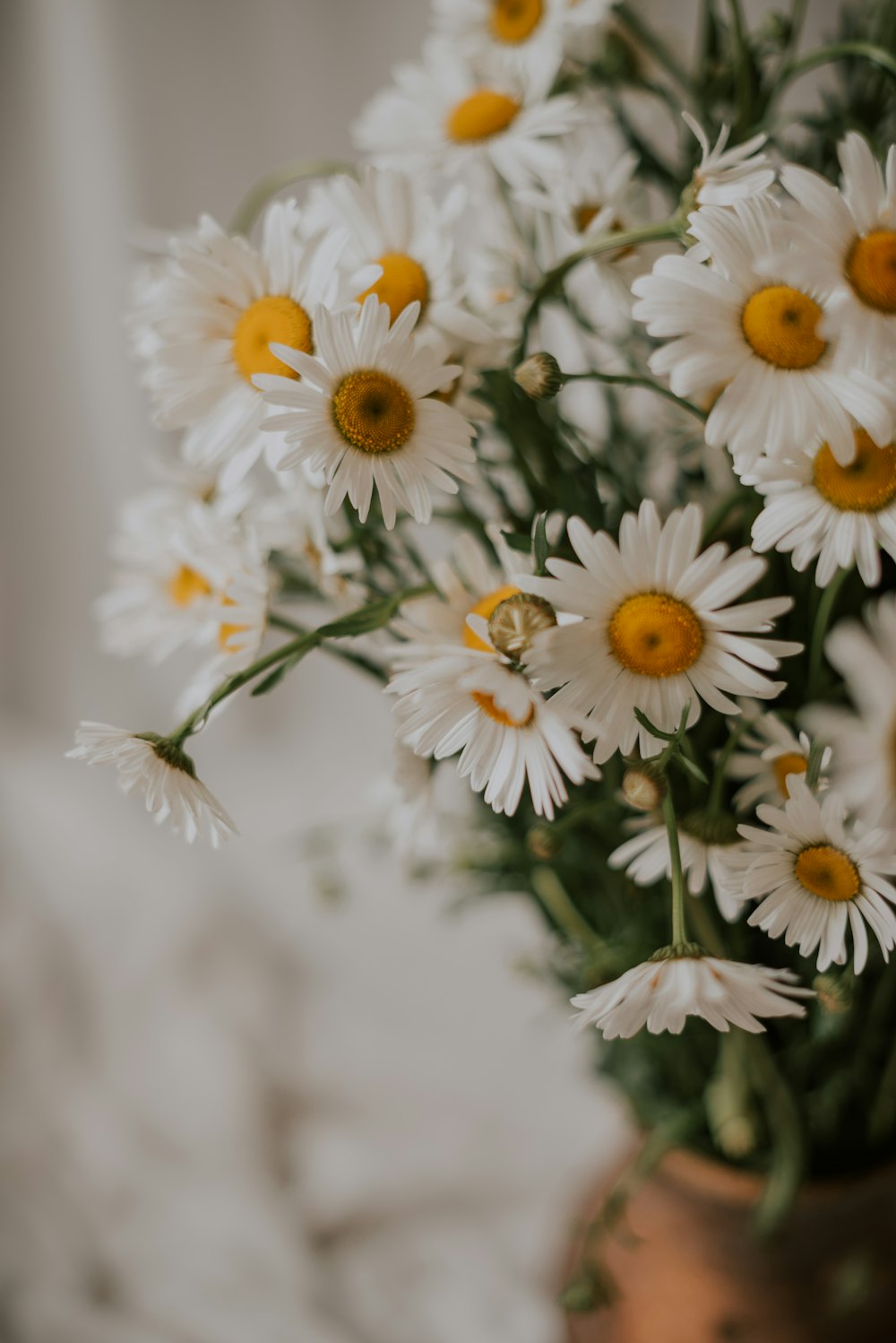 a vase filled with lots of white and yellow flowers