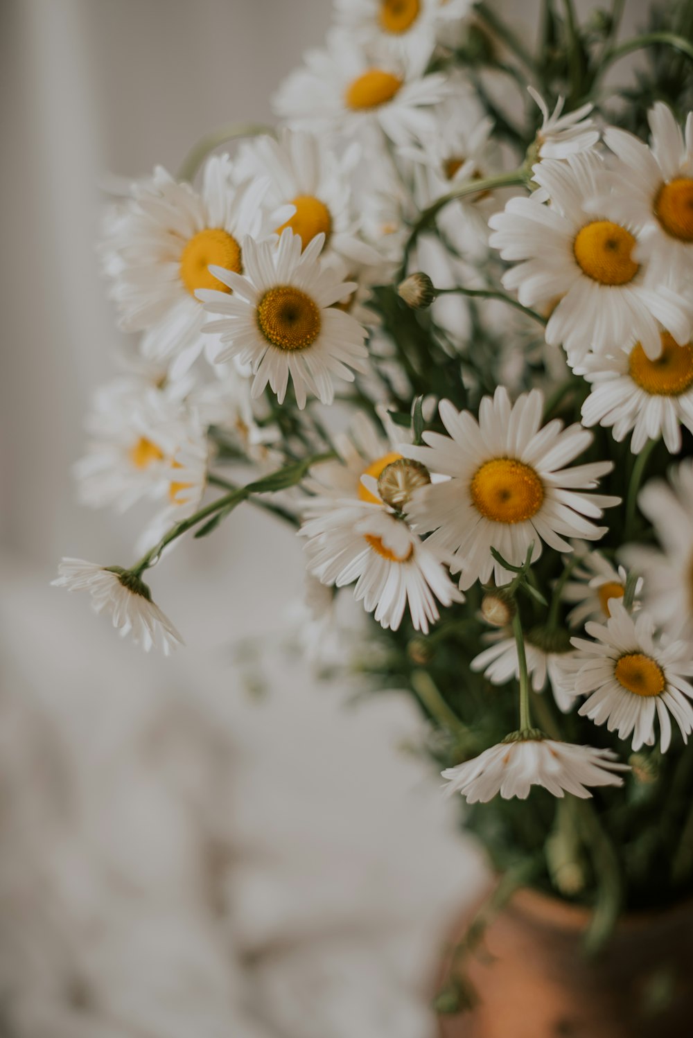 Un vase rempli de nombreuses fleurs blanches et jaunes
