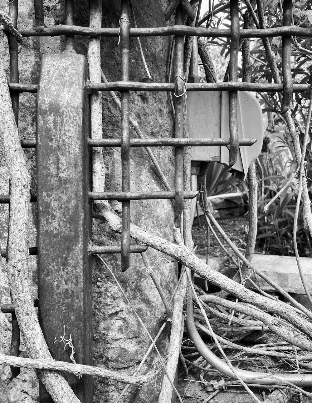 a black and white photo of a fence and tree roots