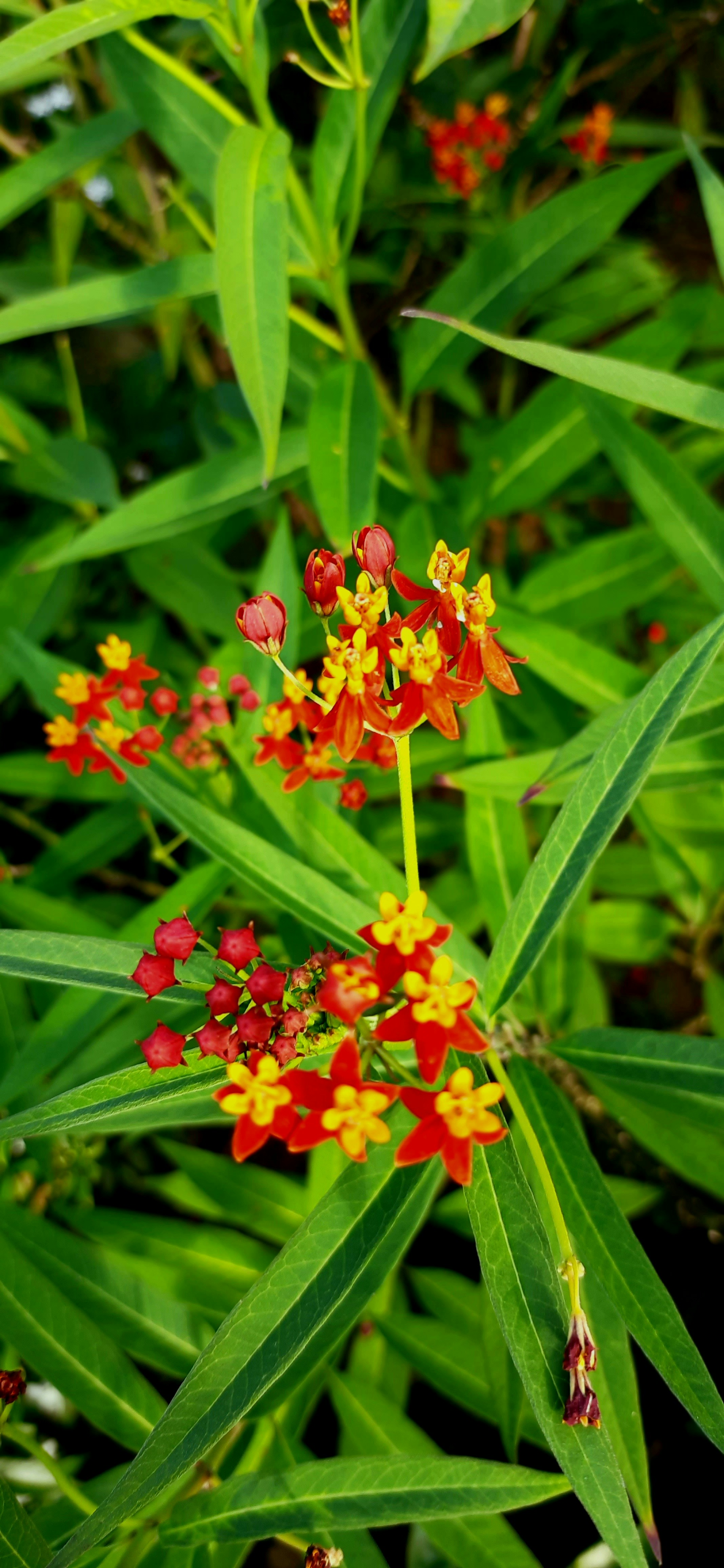 photo-1654524562874-1fc9a9a6219f?ixid=M3wxMjA3fDB8MXxzZWFyY2h8MjF8fFBvdiUyMCVEMCVCRiVEMCVCRSVEMSU4MCVEMCVCRCVEMCVCRXxlbnwwfHx8fDE2ODQxMjgwMDN8MA%5Cu0026ixlib=rb-4.0.3