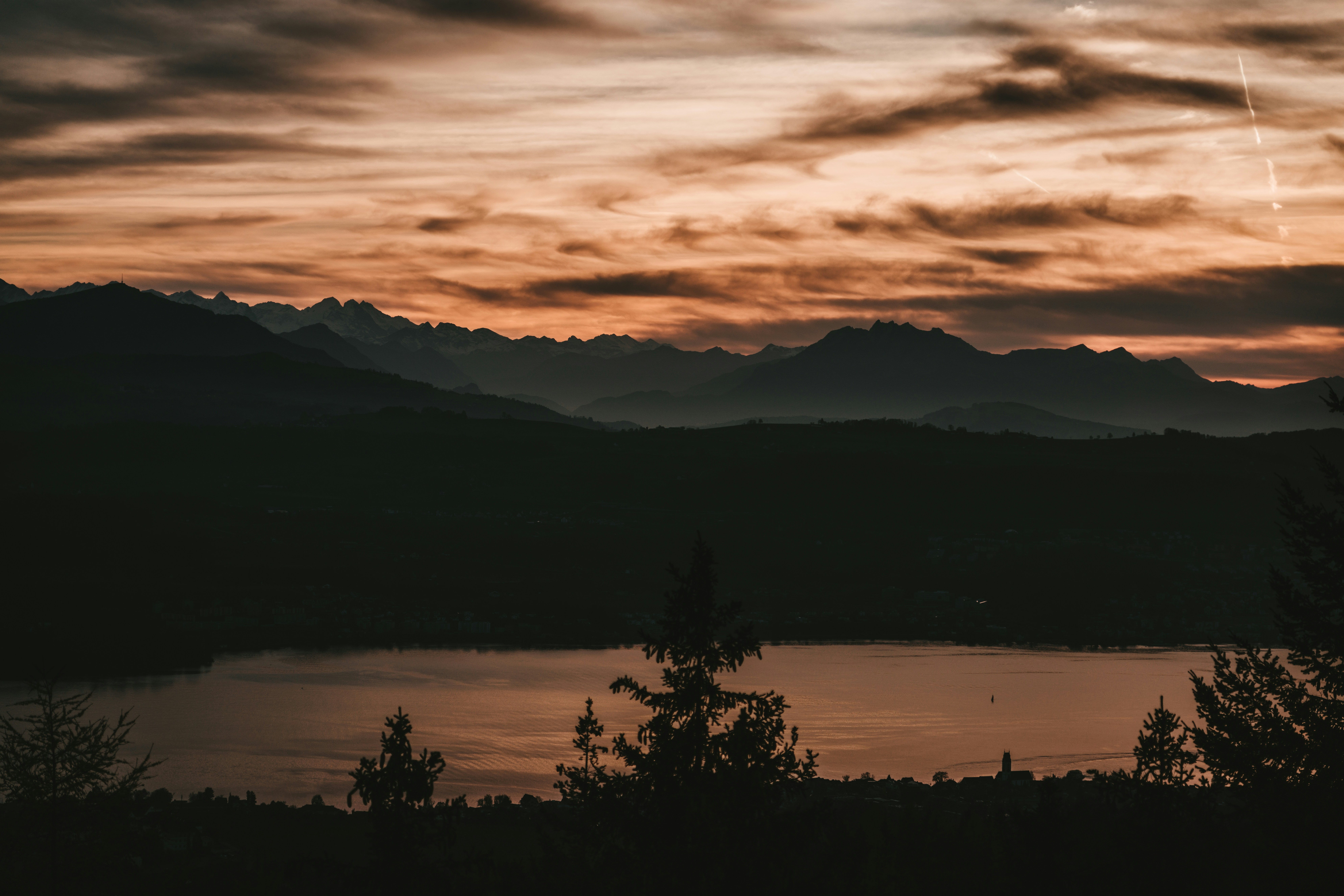 Photo by purzlbaum