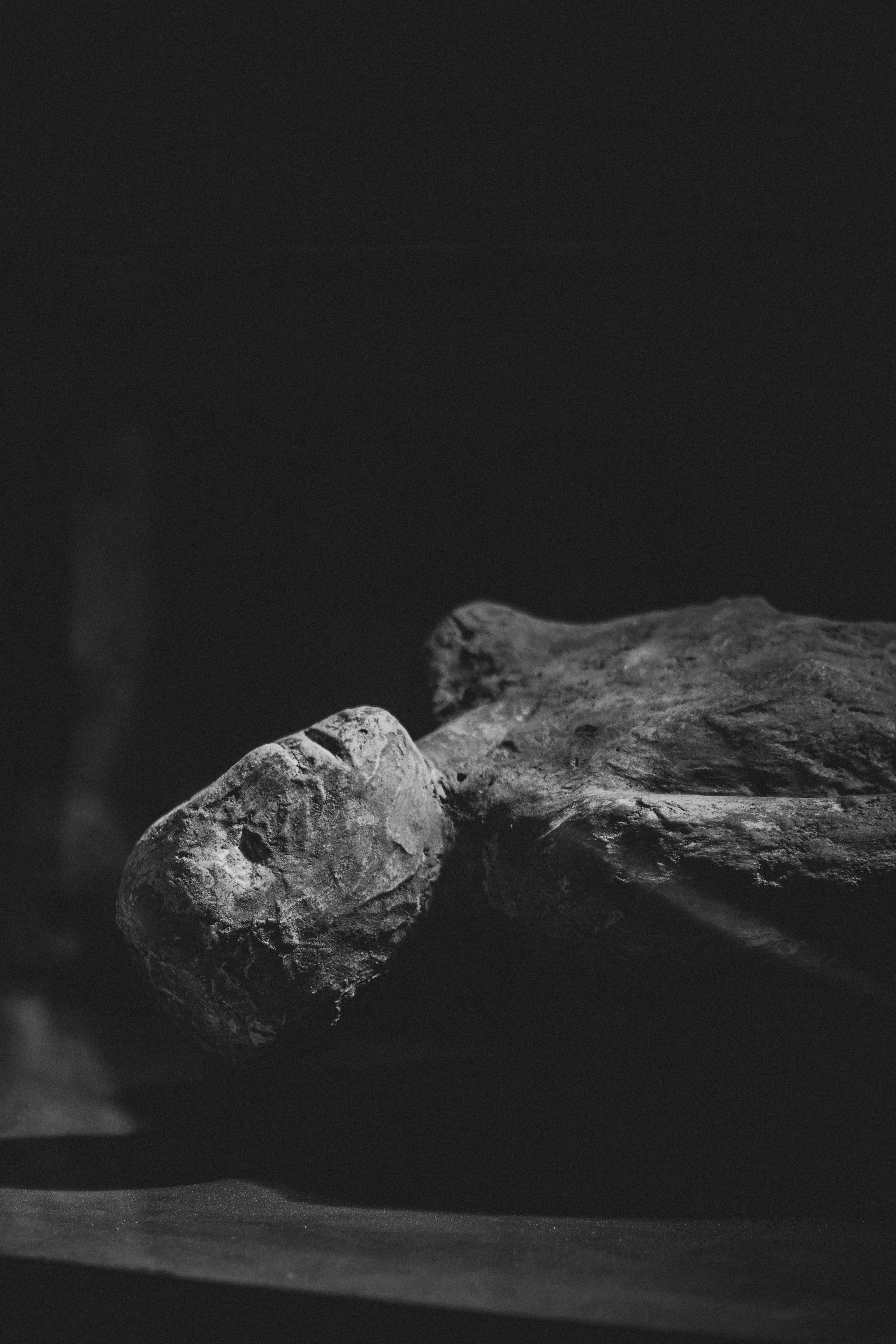 岩のクローズアップ