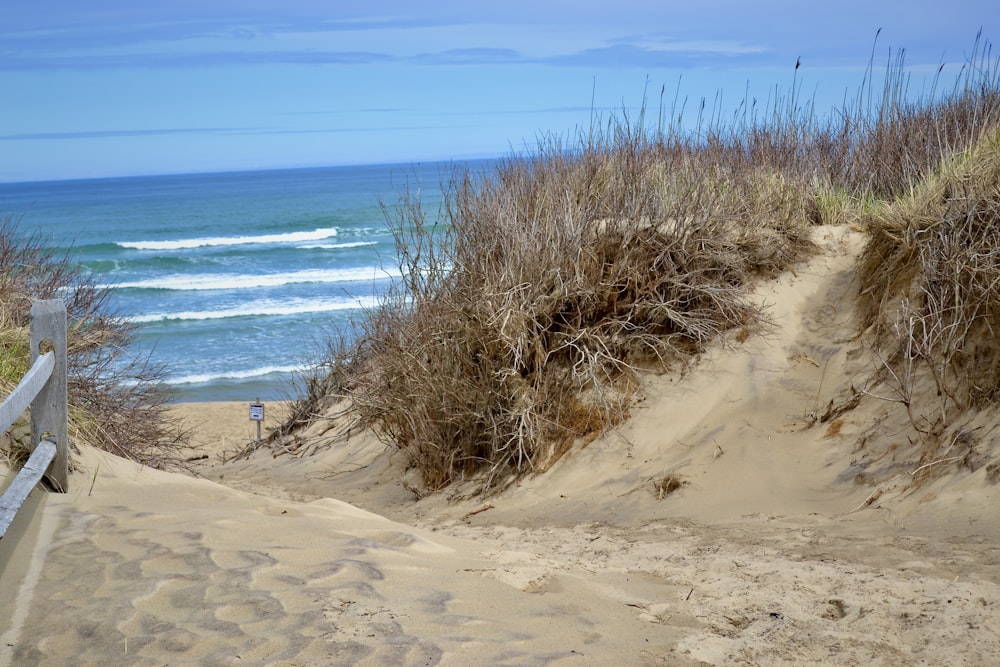 a wooden bench sitting on top of a sandy beach