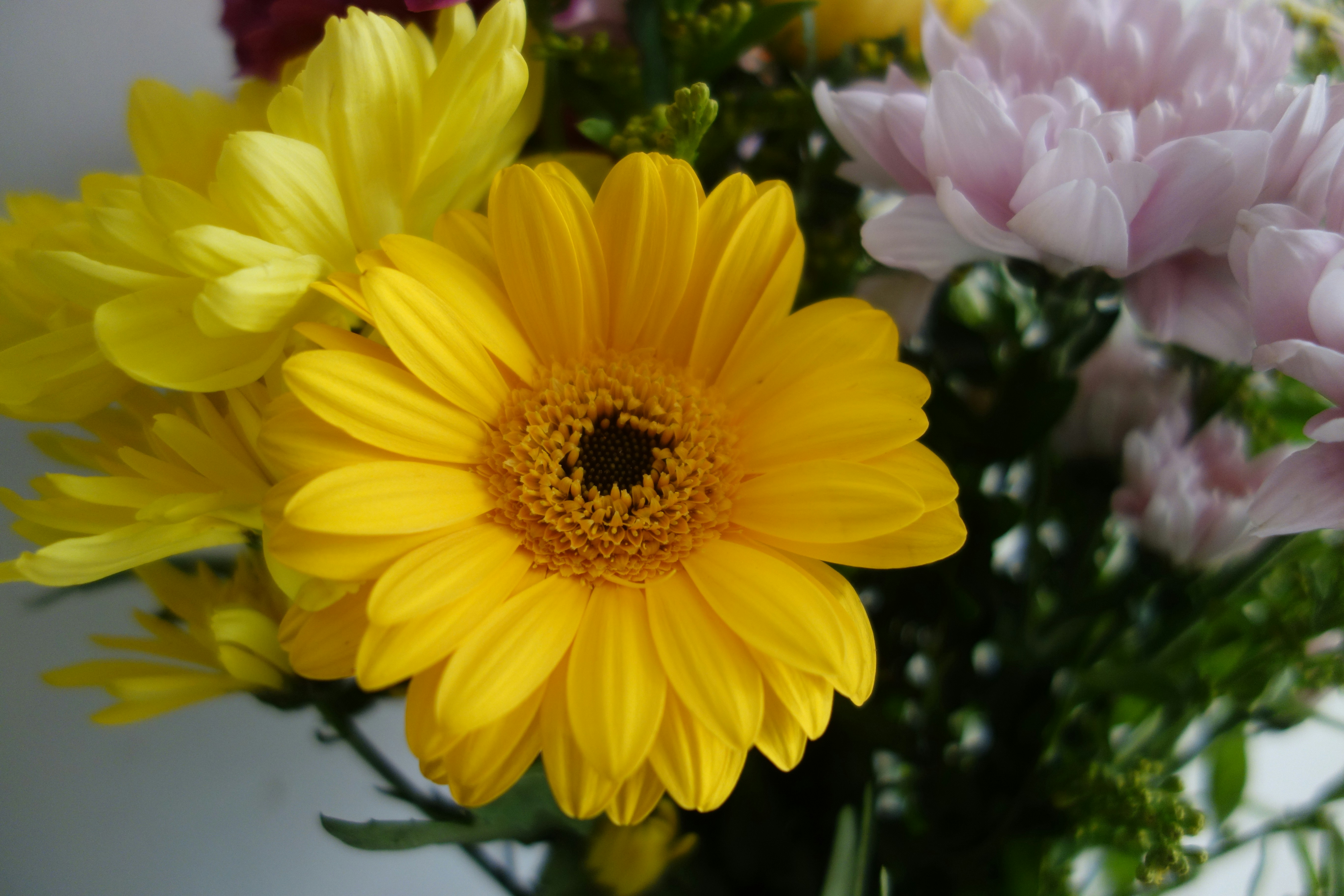 a vase filled with lots of different colored flowers
