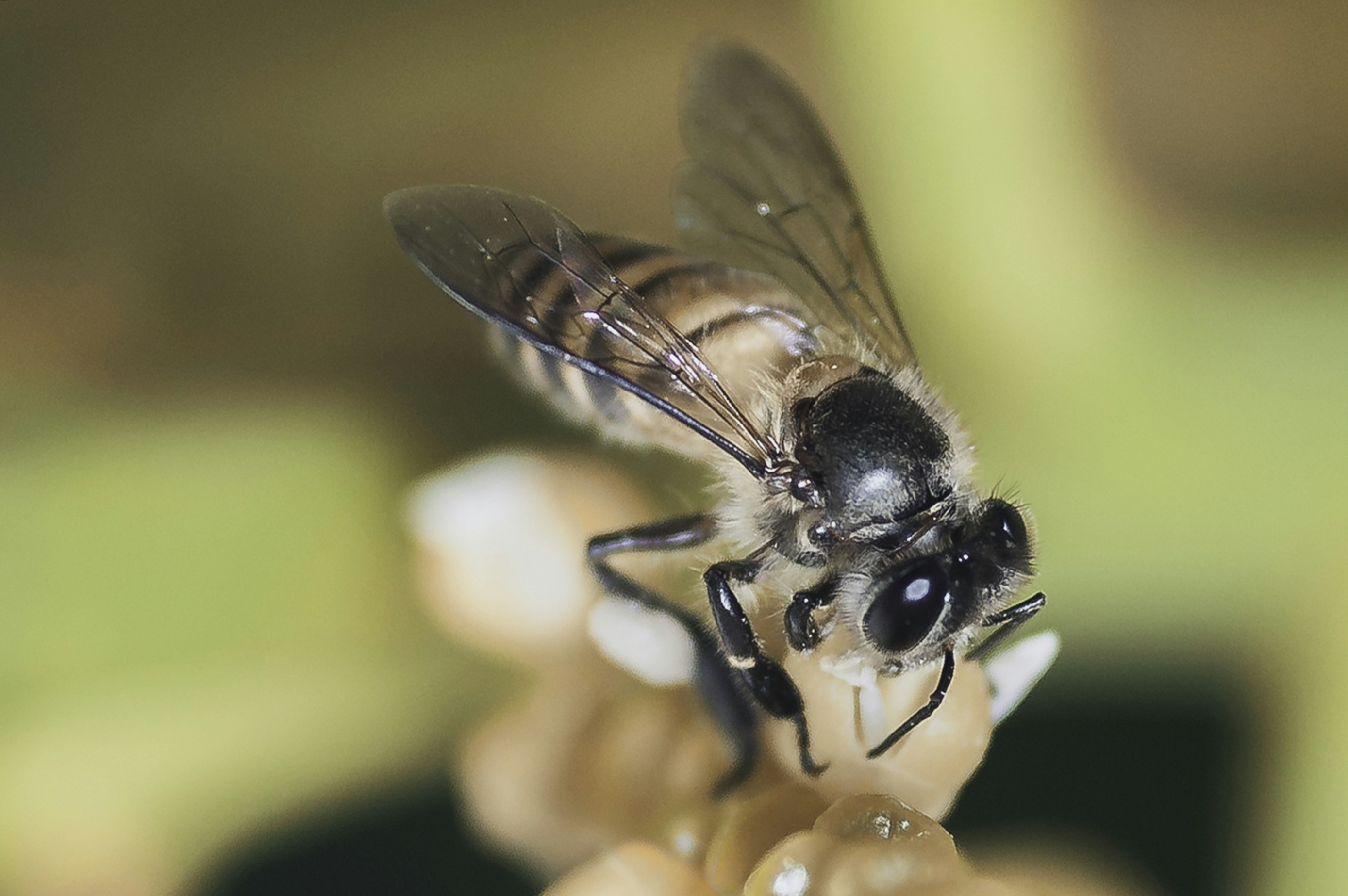 Photo by thom_oxford