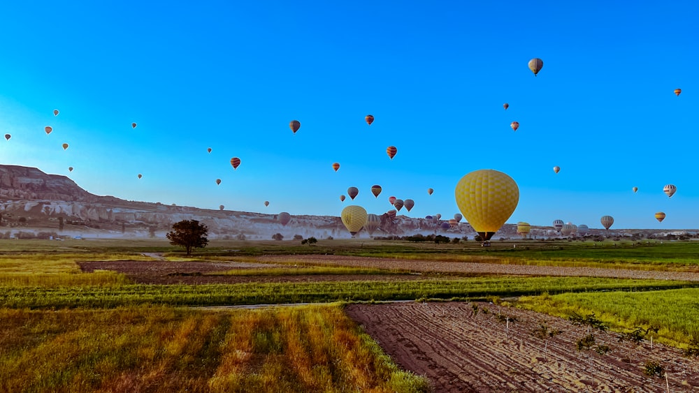 a large group of hot air balloons flying in the sky