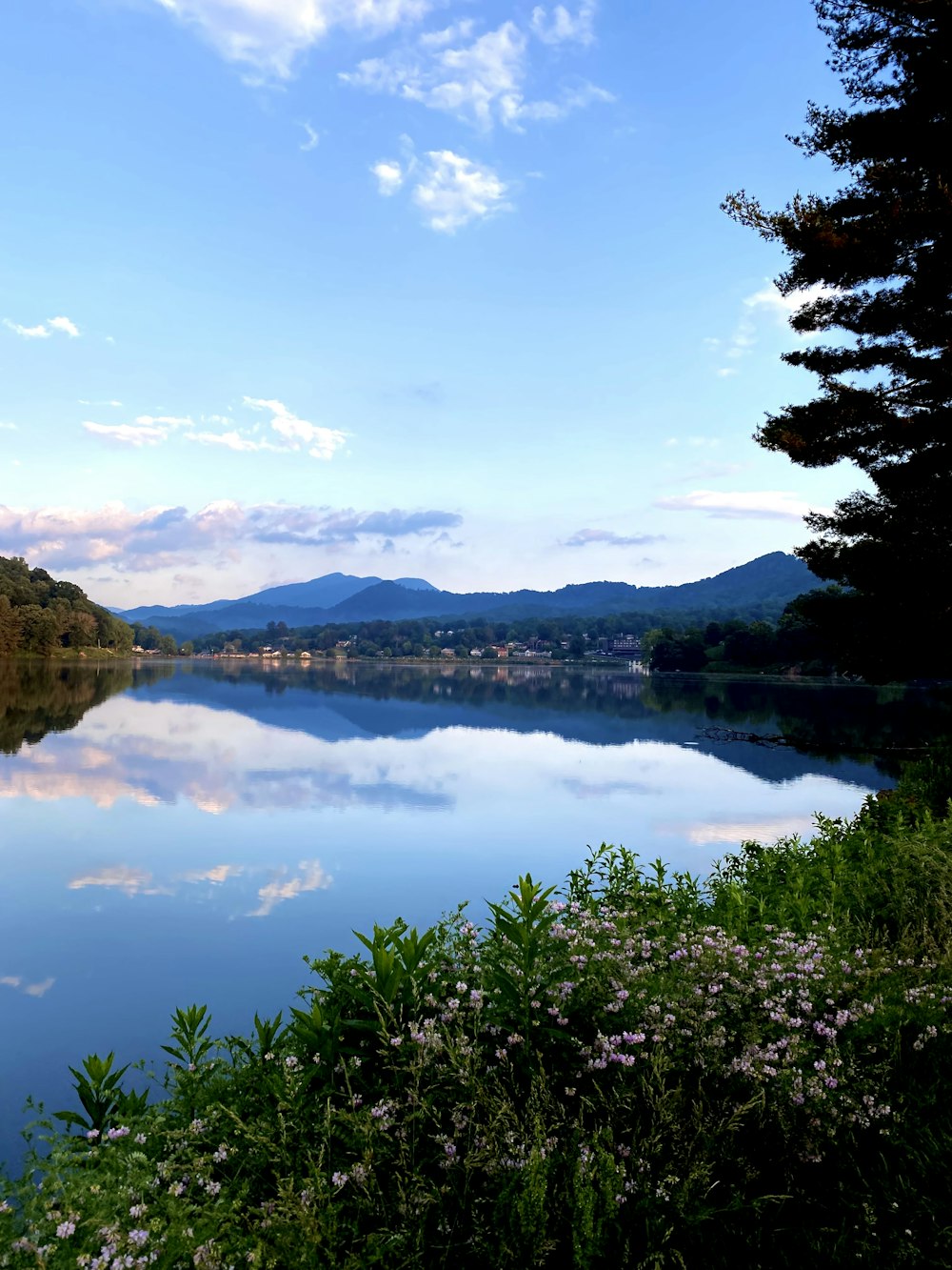 a body of water surrounded by trees and flowers