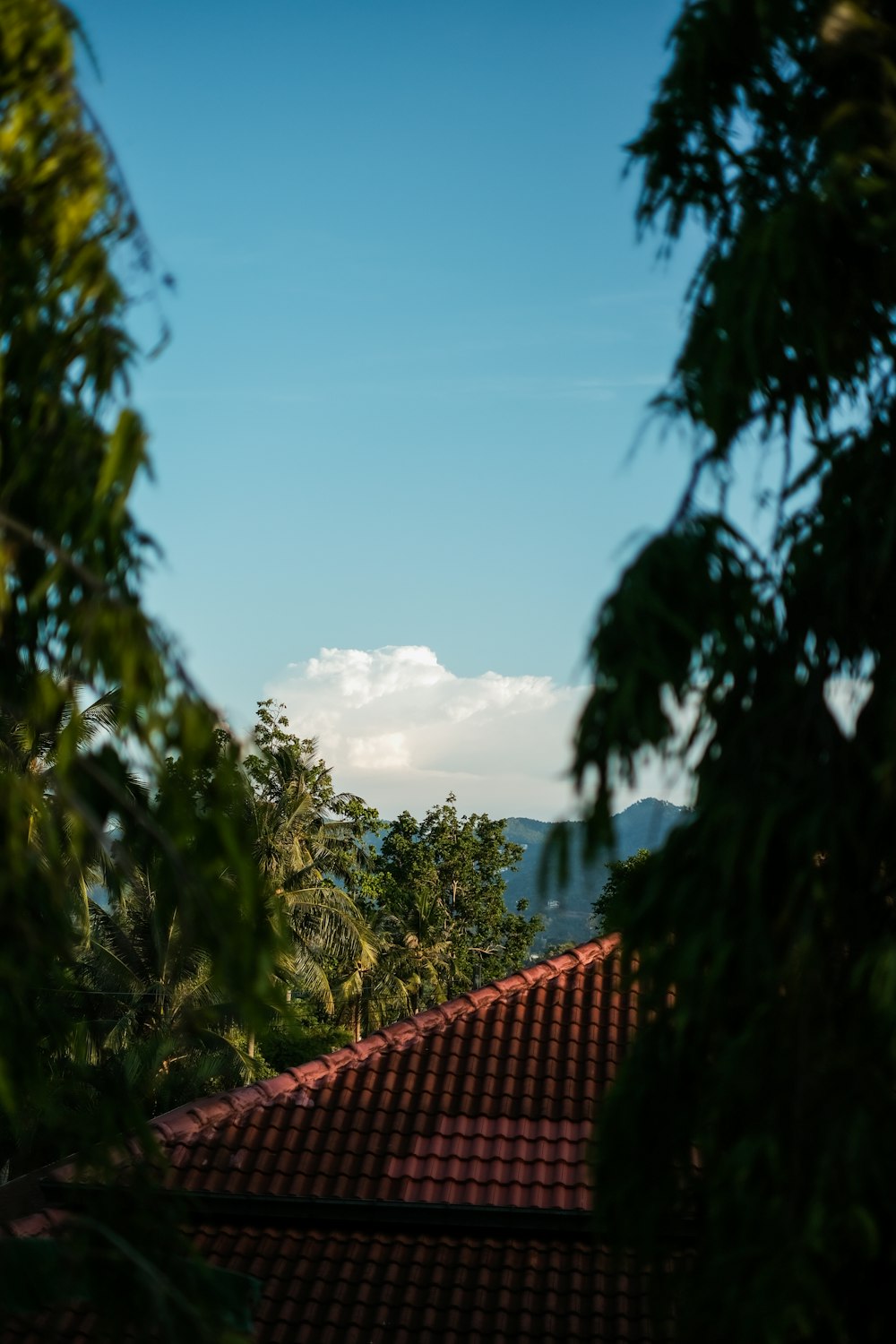 une vue sur les montagnes depuis un toit