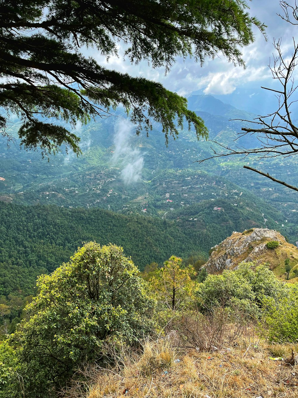 a view of a valley and mountains from a hill