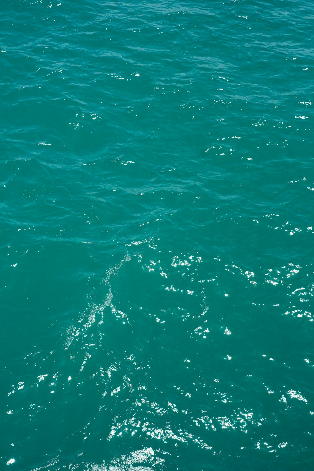 a person on a surfboard in the water