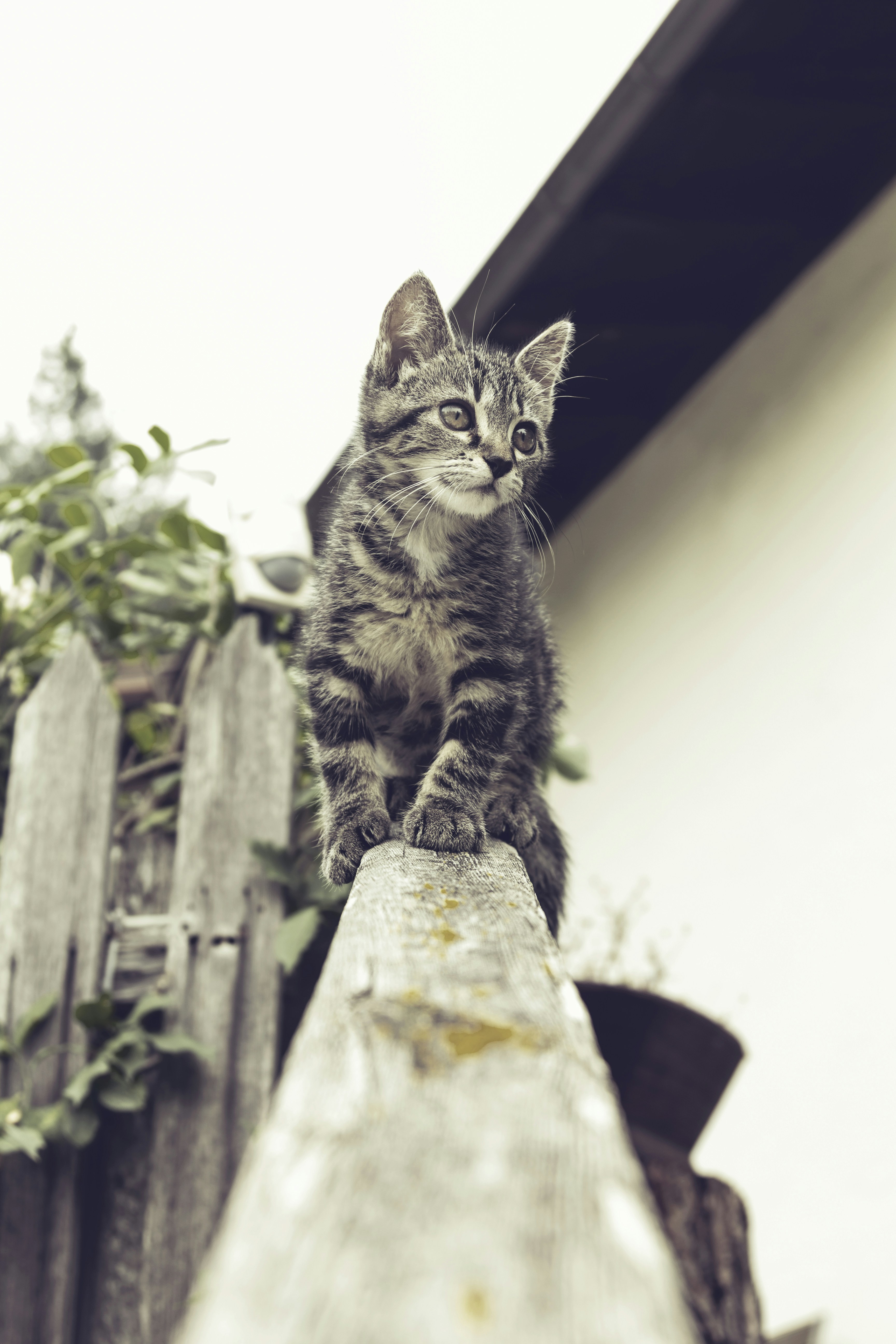 Photo by shutter_speed_