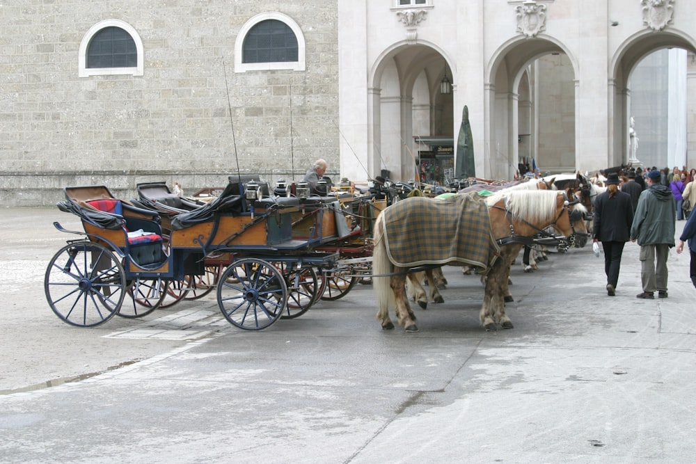 a couple of horses pulling a carriage down a street