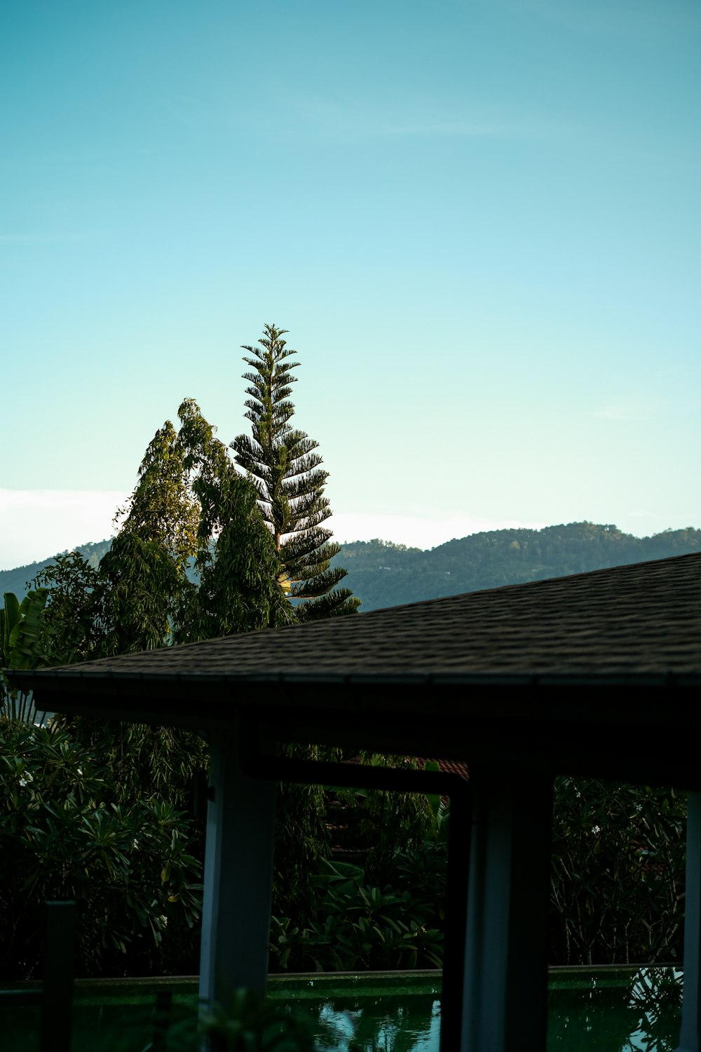 a view of a tree and mountains from a house