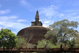 The historic Sanchi Stupa surrounded by lush greenery under a clear blue sky.