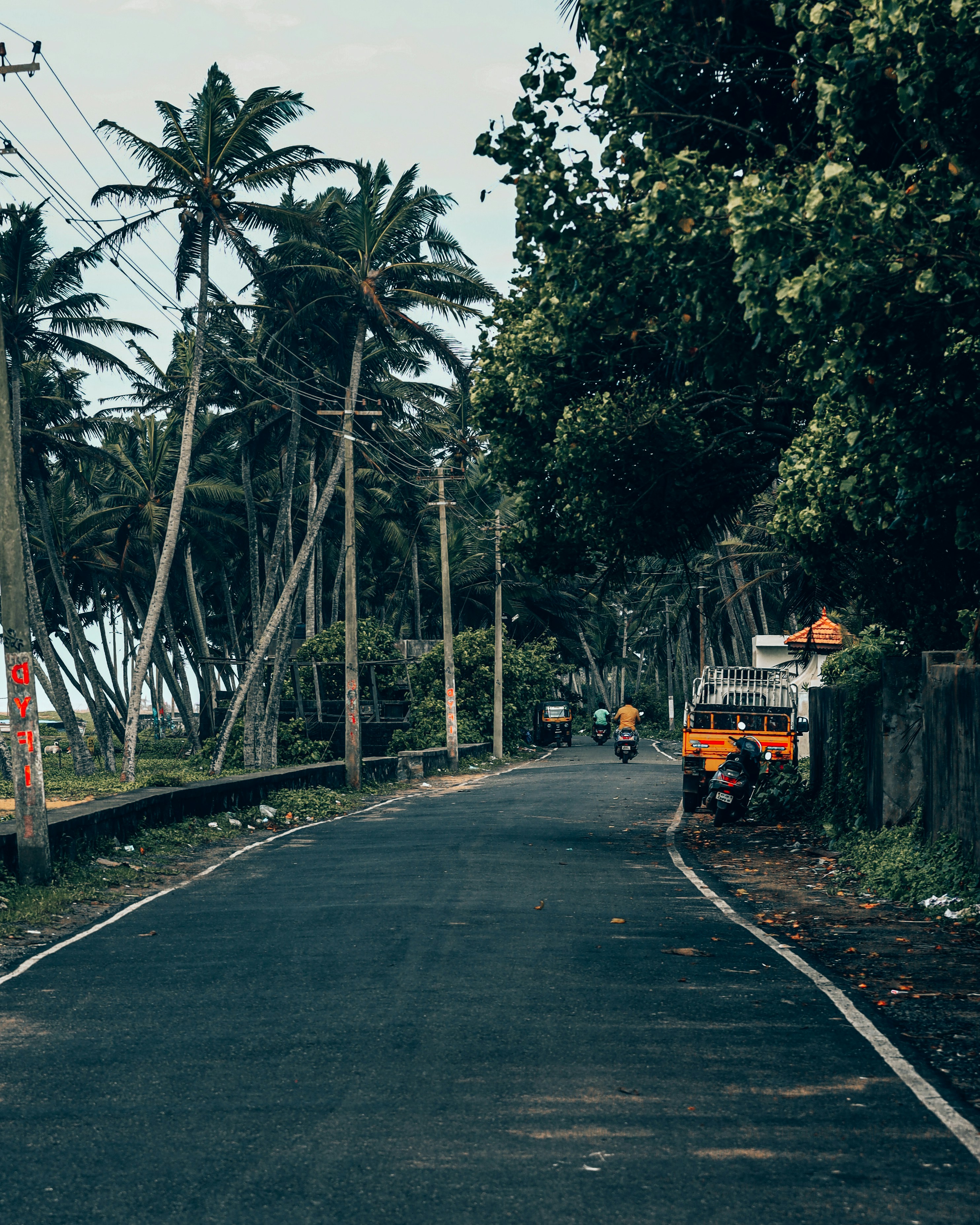 Photo by eshakangell