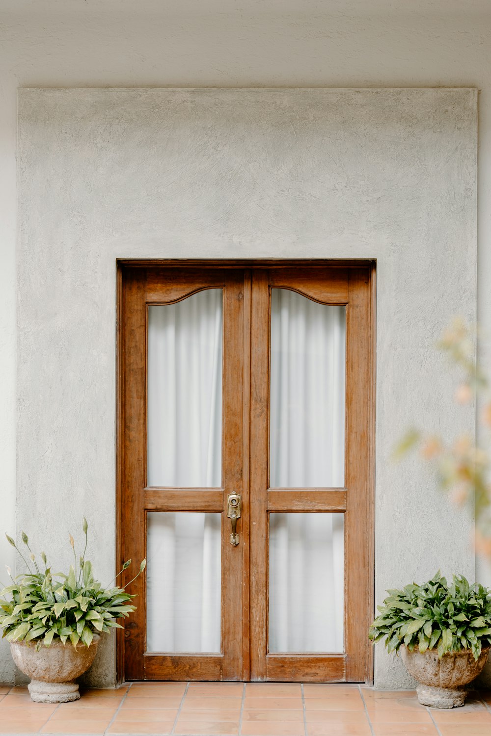 a couple of potted plants sitting in front of a wooden door