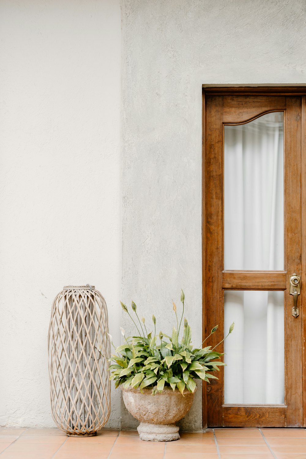 a potted plant sitting next to a wooden door