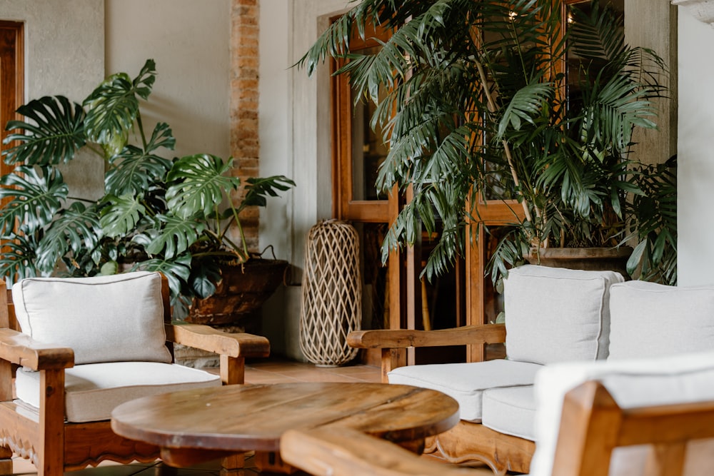 a living room filled with furniture and lots of plants