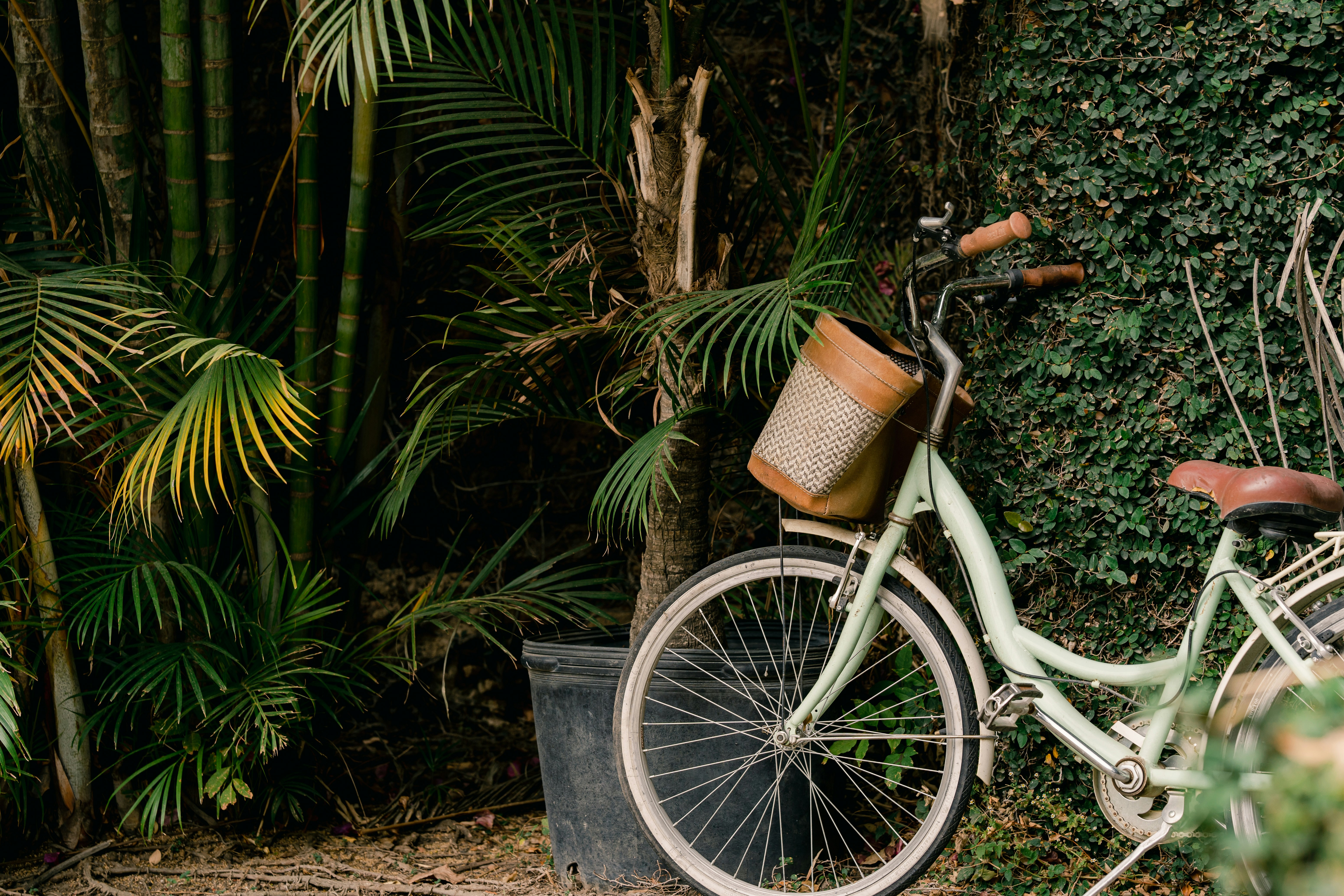 Photo by brunocervera