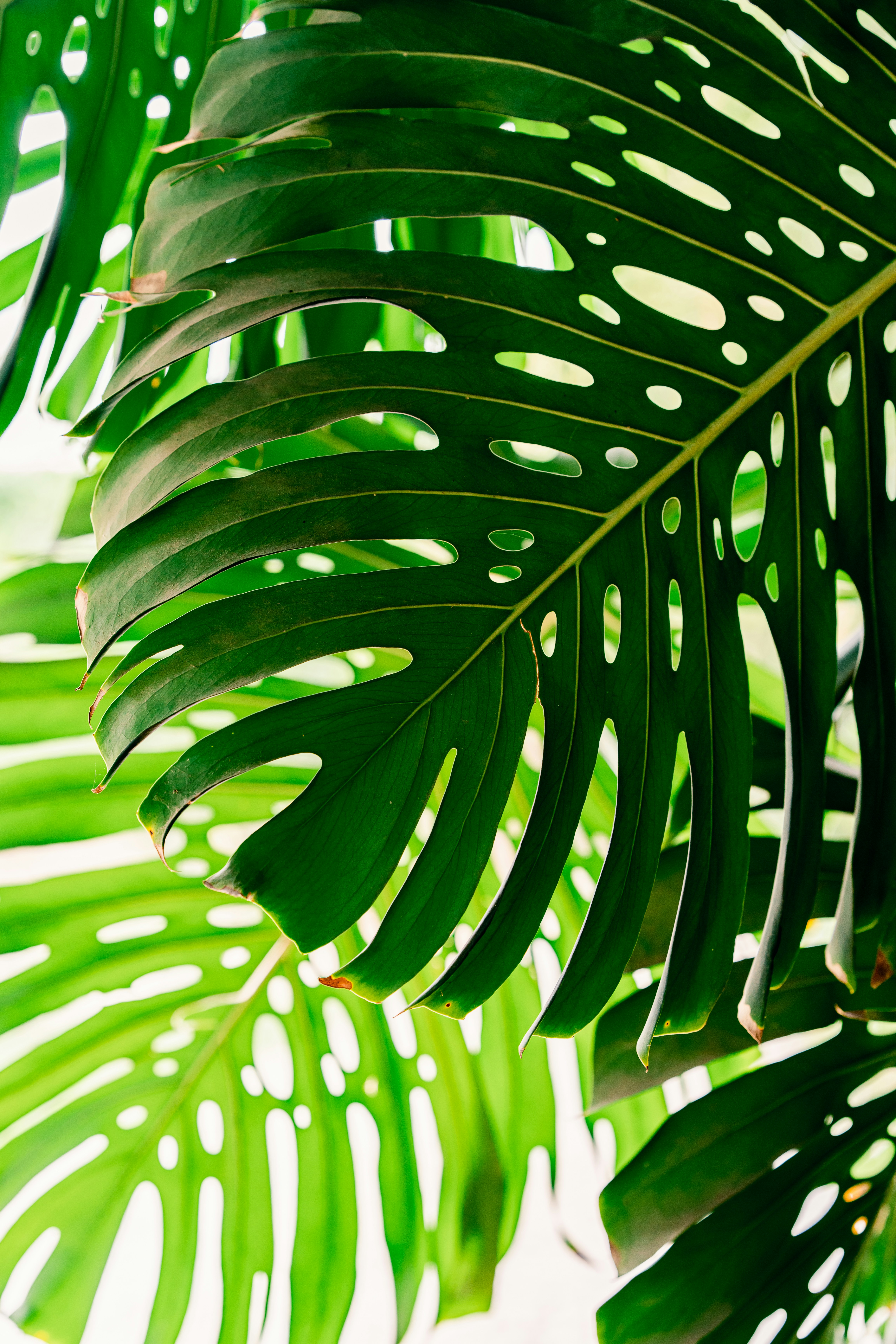 Photo by brunocervera