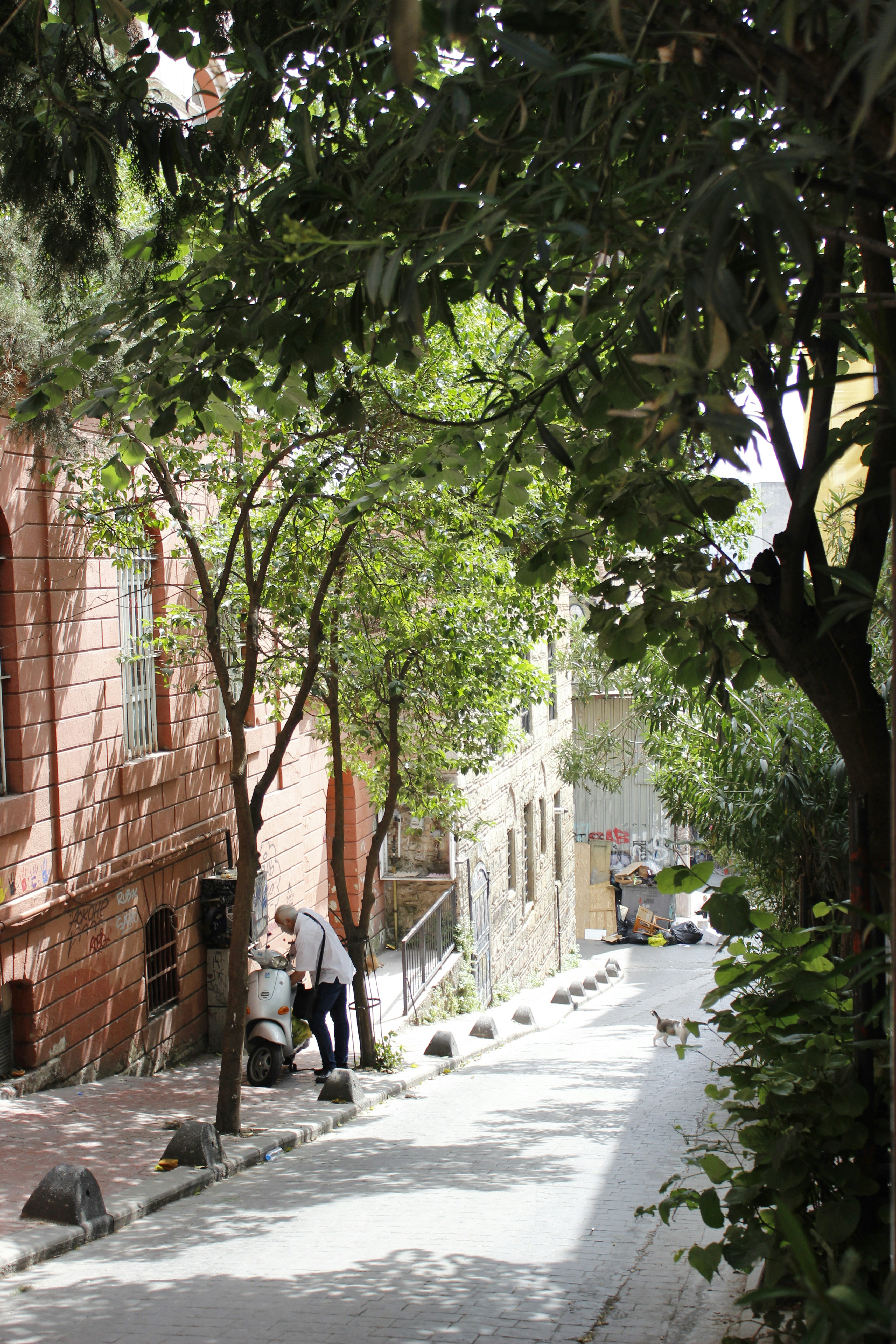 Photo by iridescenttlife