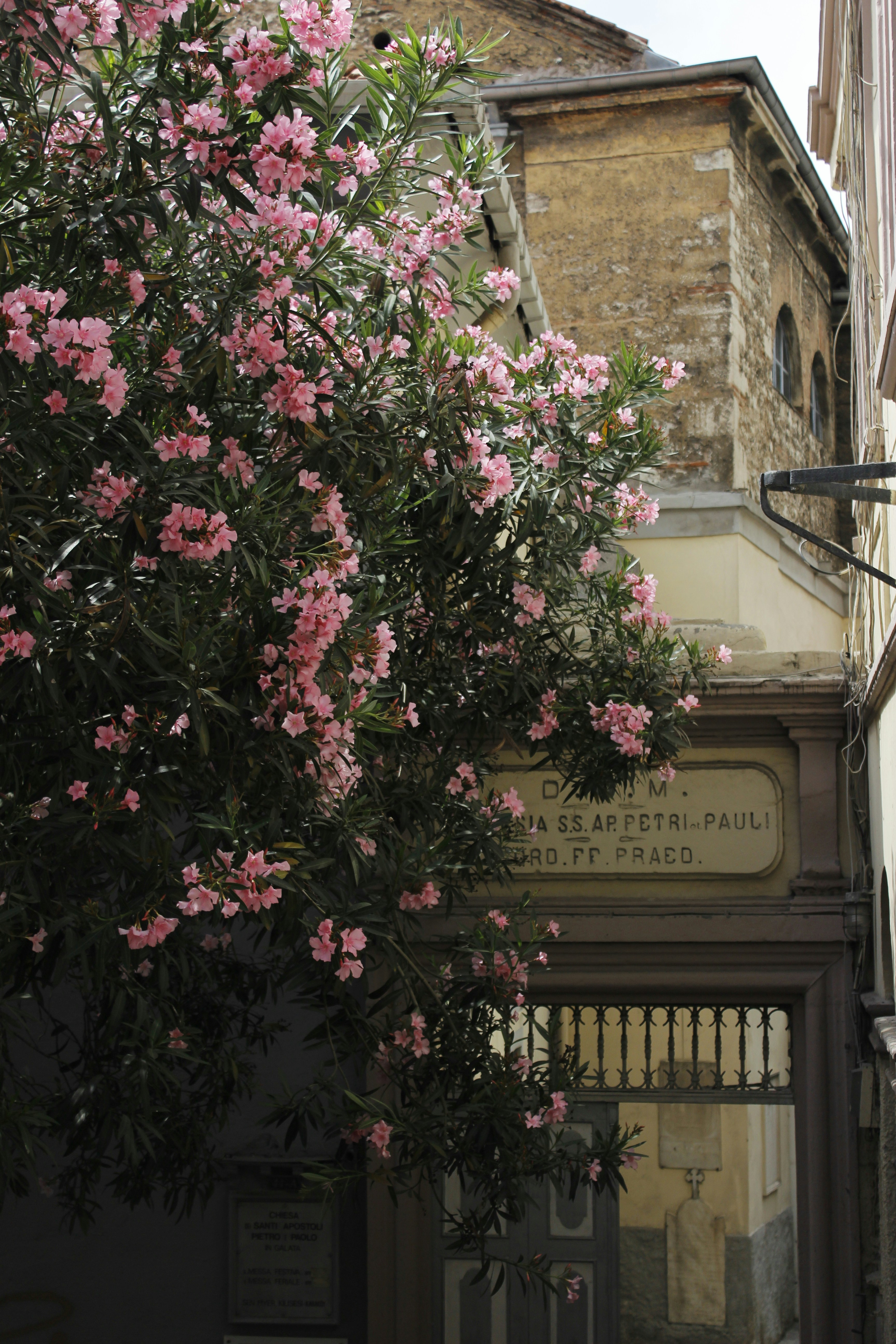 Photo by iridescenttlife