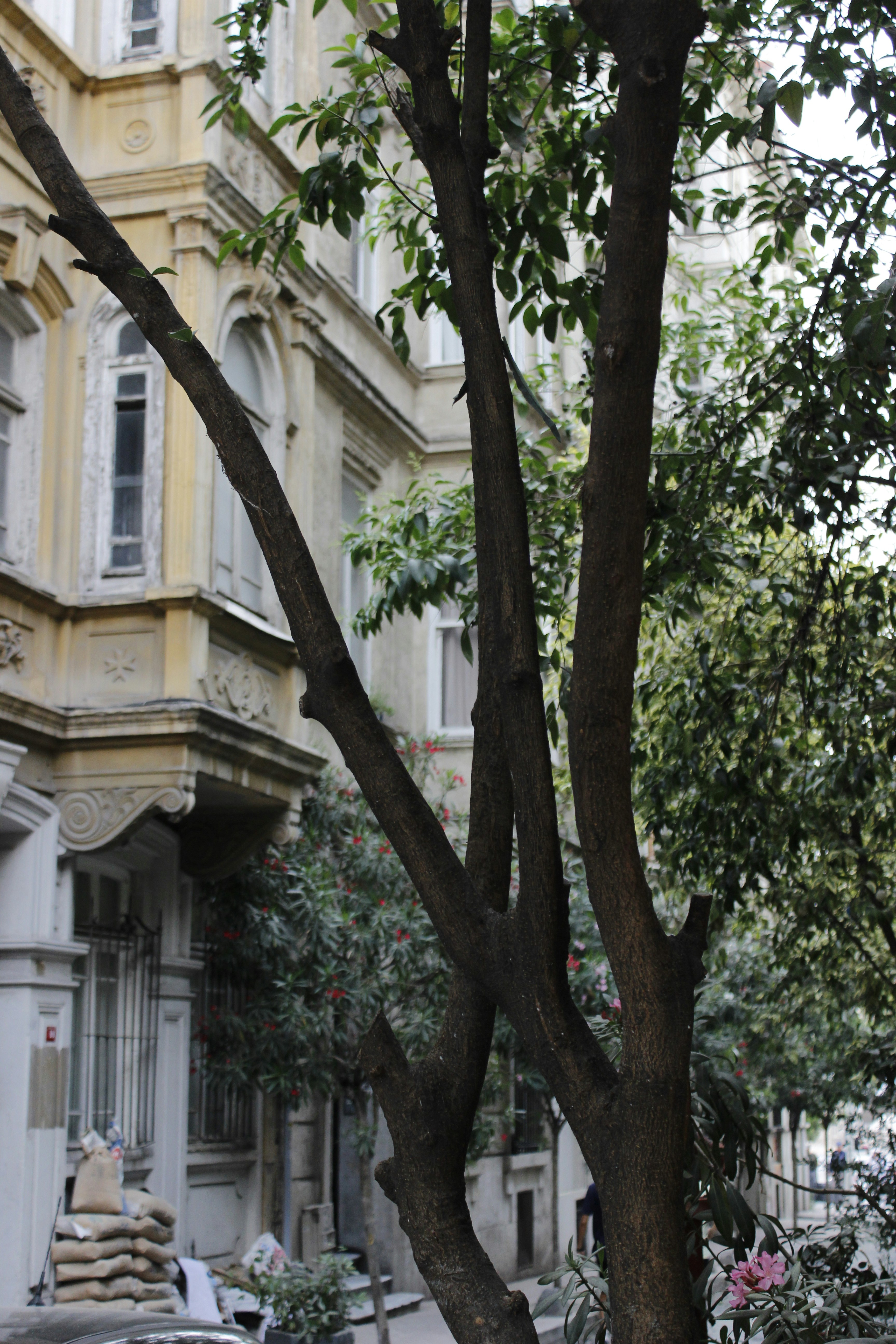 Photo by iridescenttlife