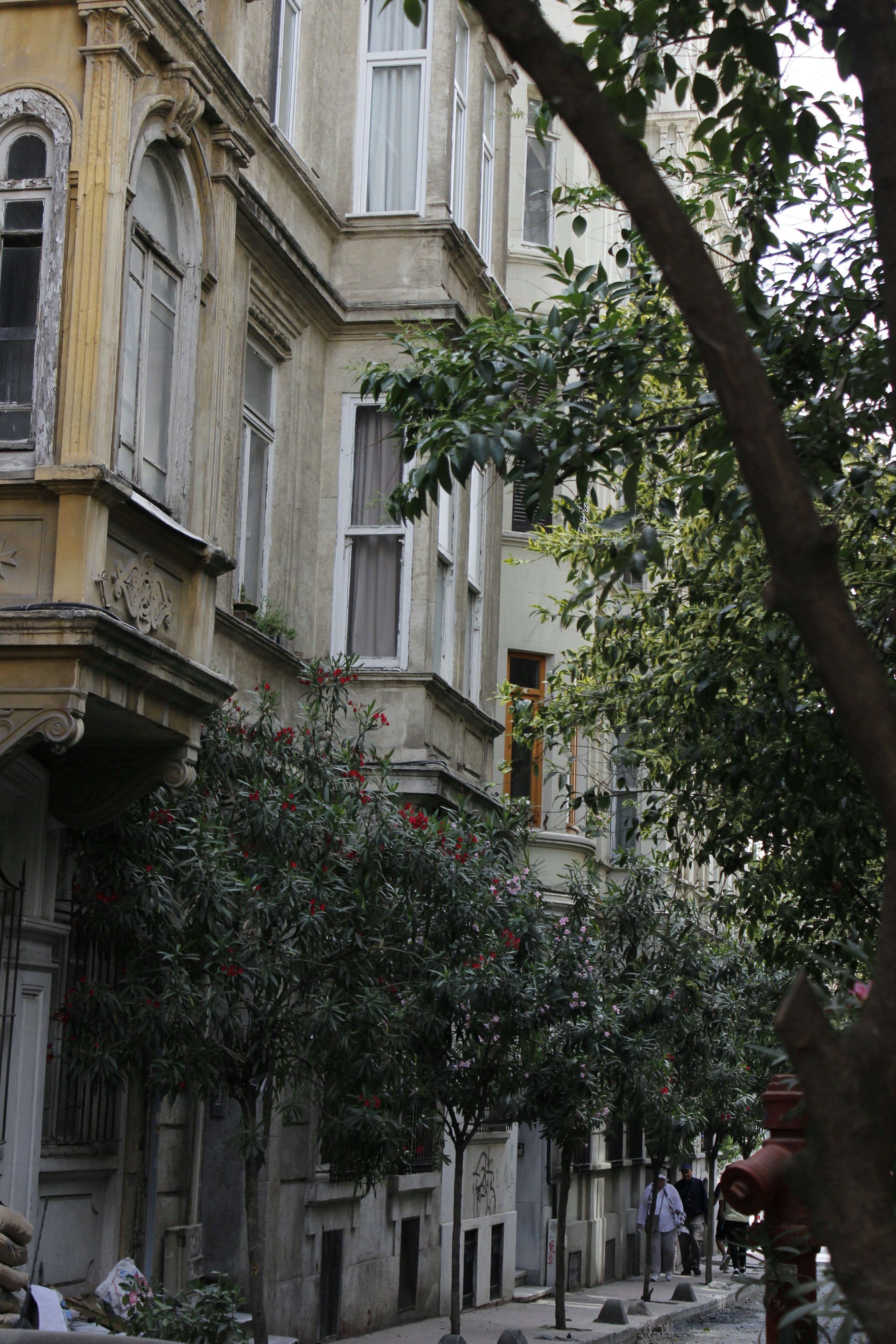 Photo by iridescenttlife