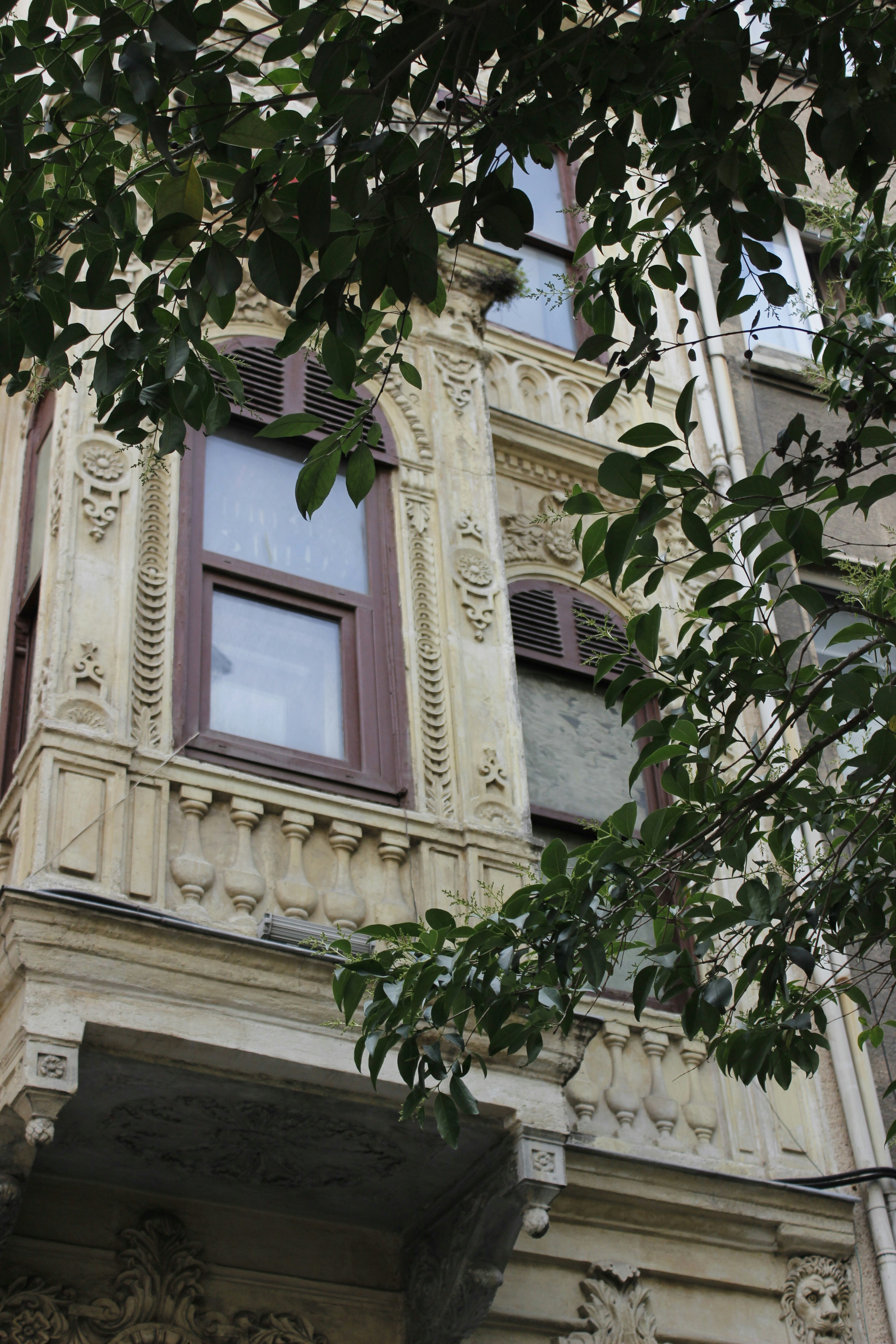 Photo by iridescenttlife