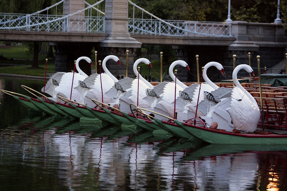 a row of swan boats sitting on top of a lake