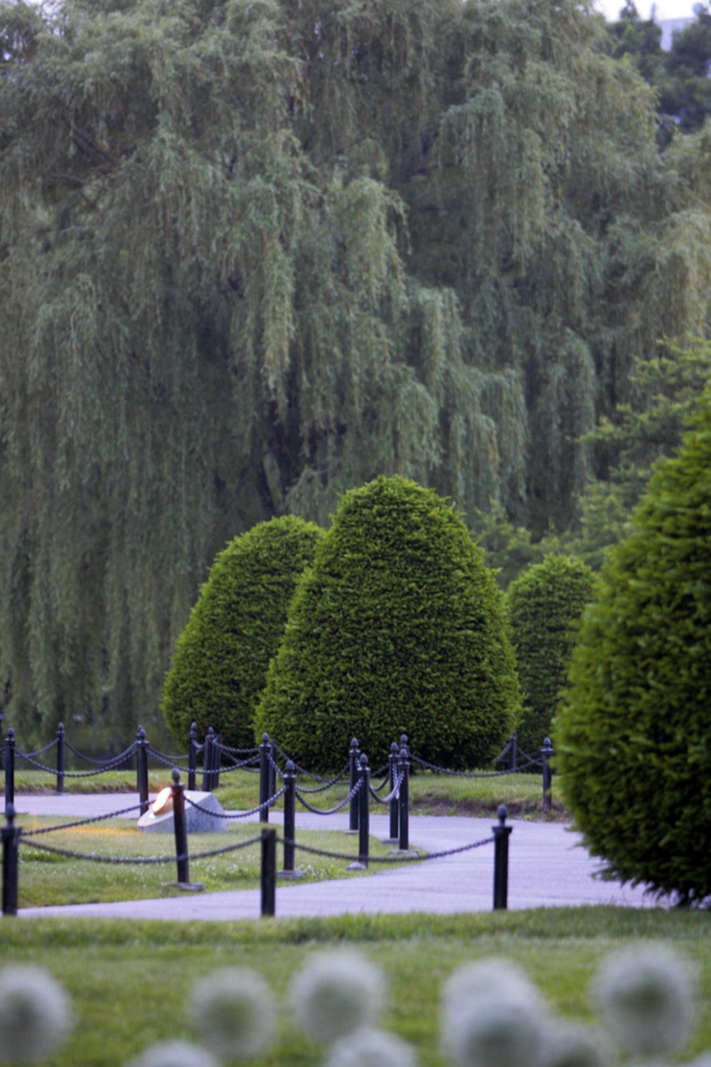 a woman laying on a hammock in a park