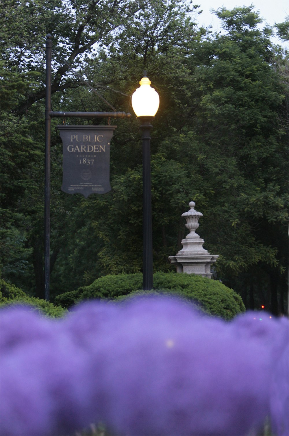 a lamp post in a park with purple flowers in the foreground