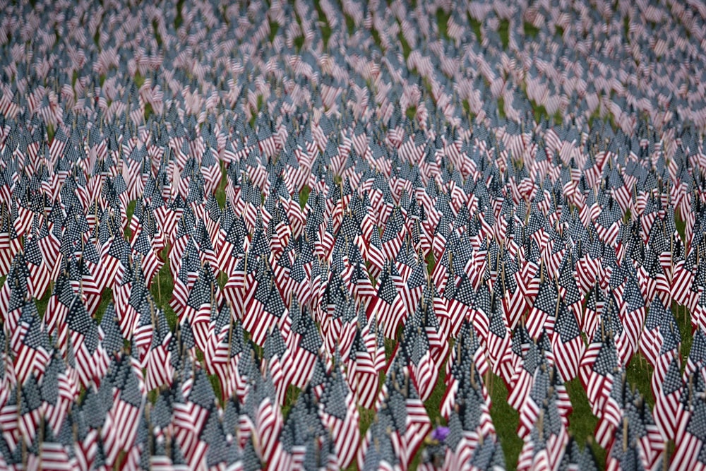 a field full of red, white and blue flags