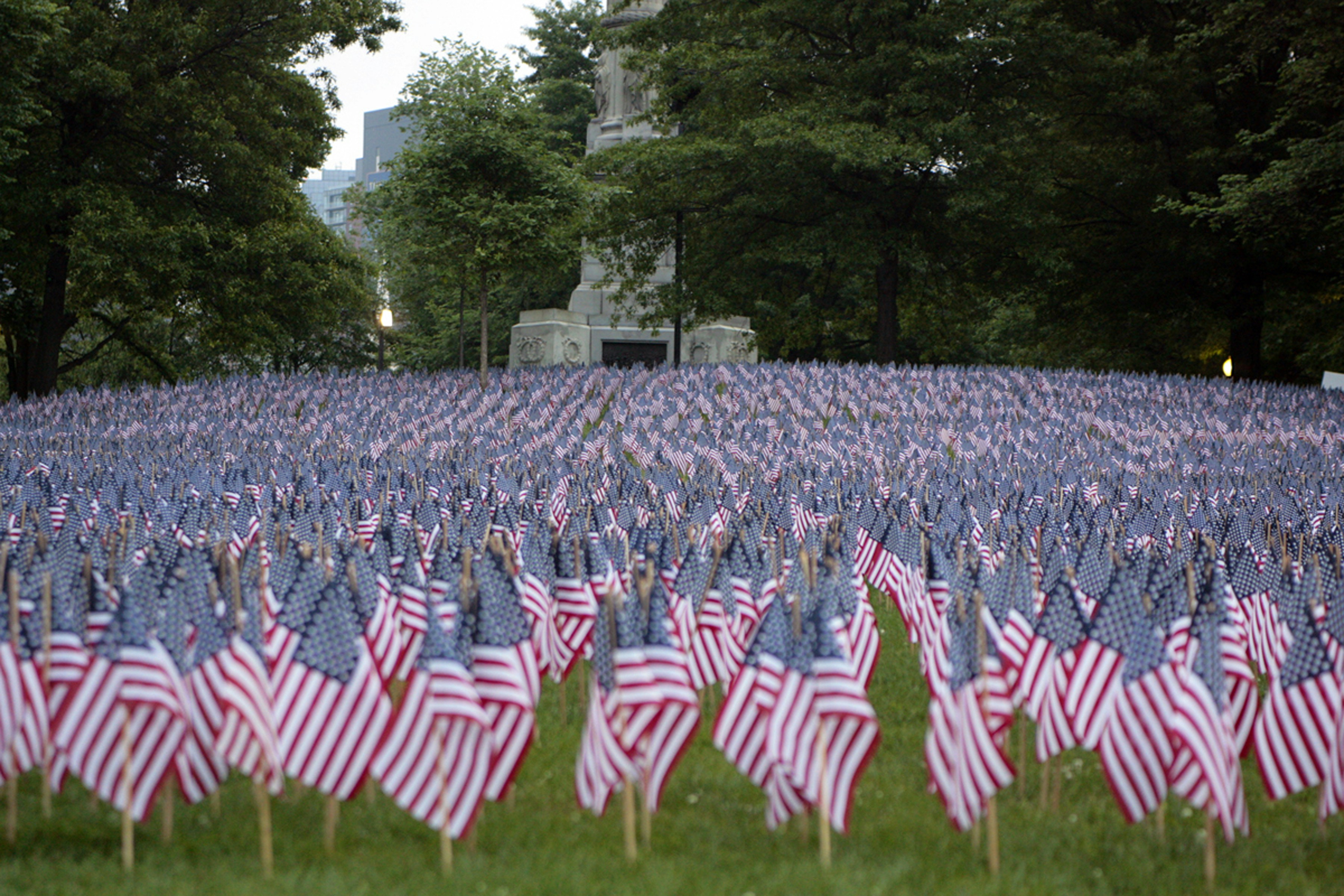 a field full of american flags with a monument in the background