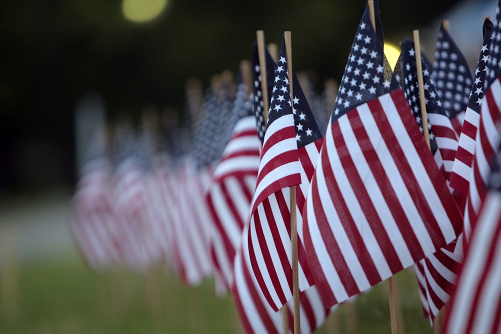 many american flags are lined up in a row