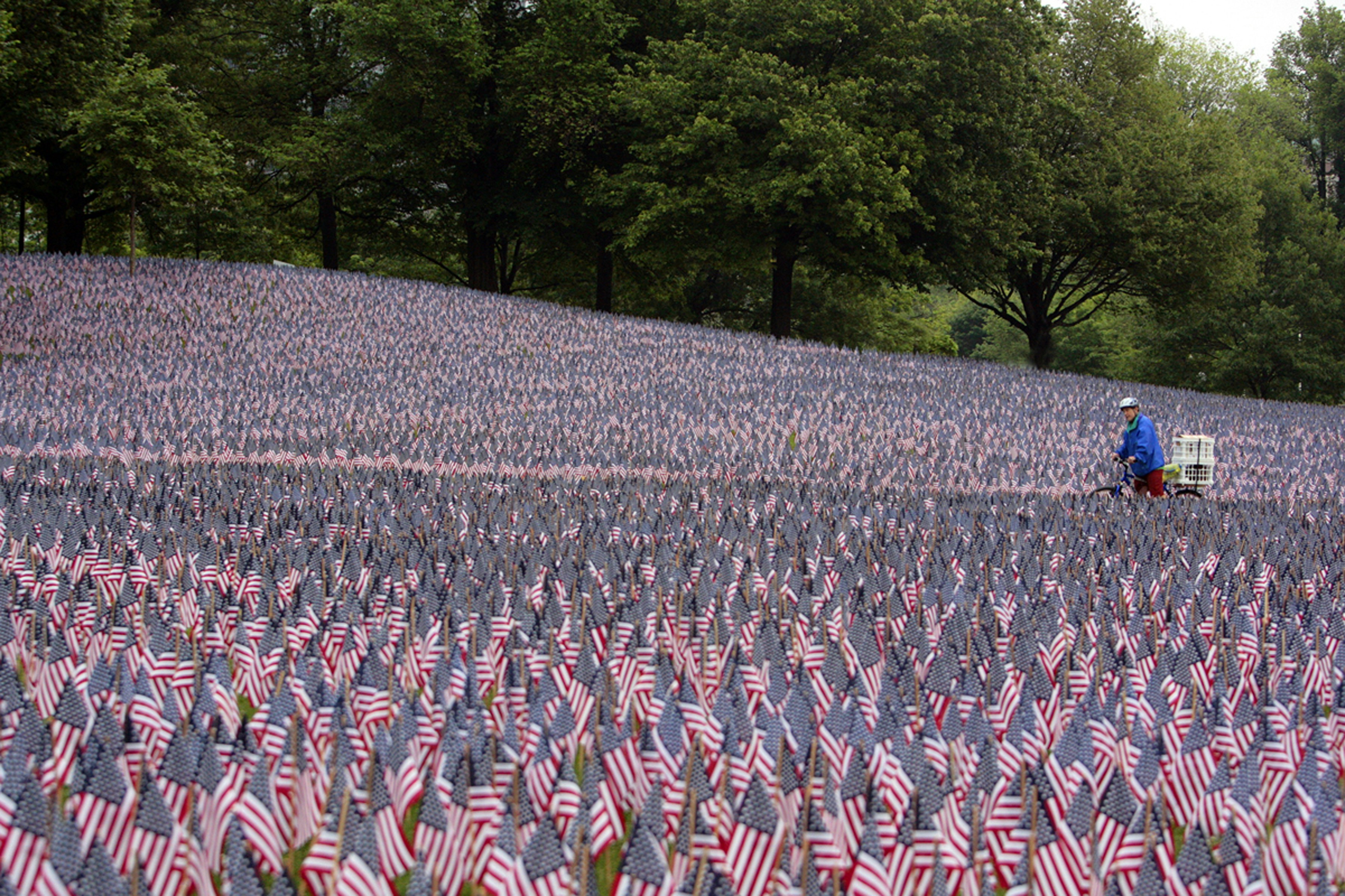 a field full of american flags with a person on a cart