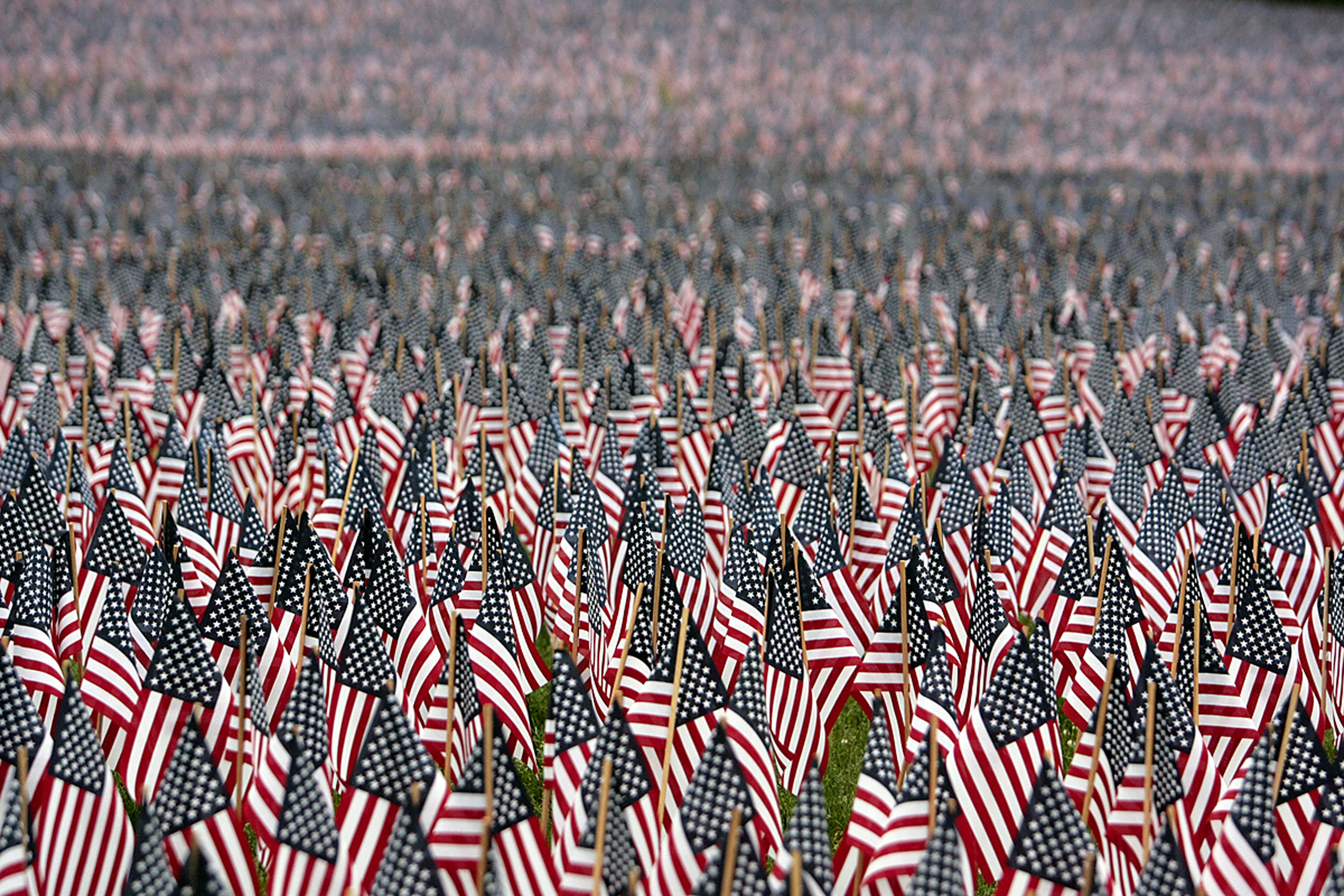 a field full of american flags with a sky in the background