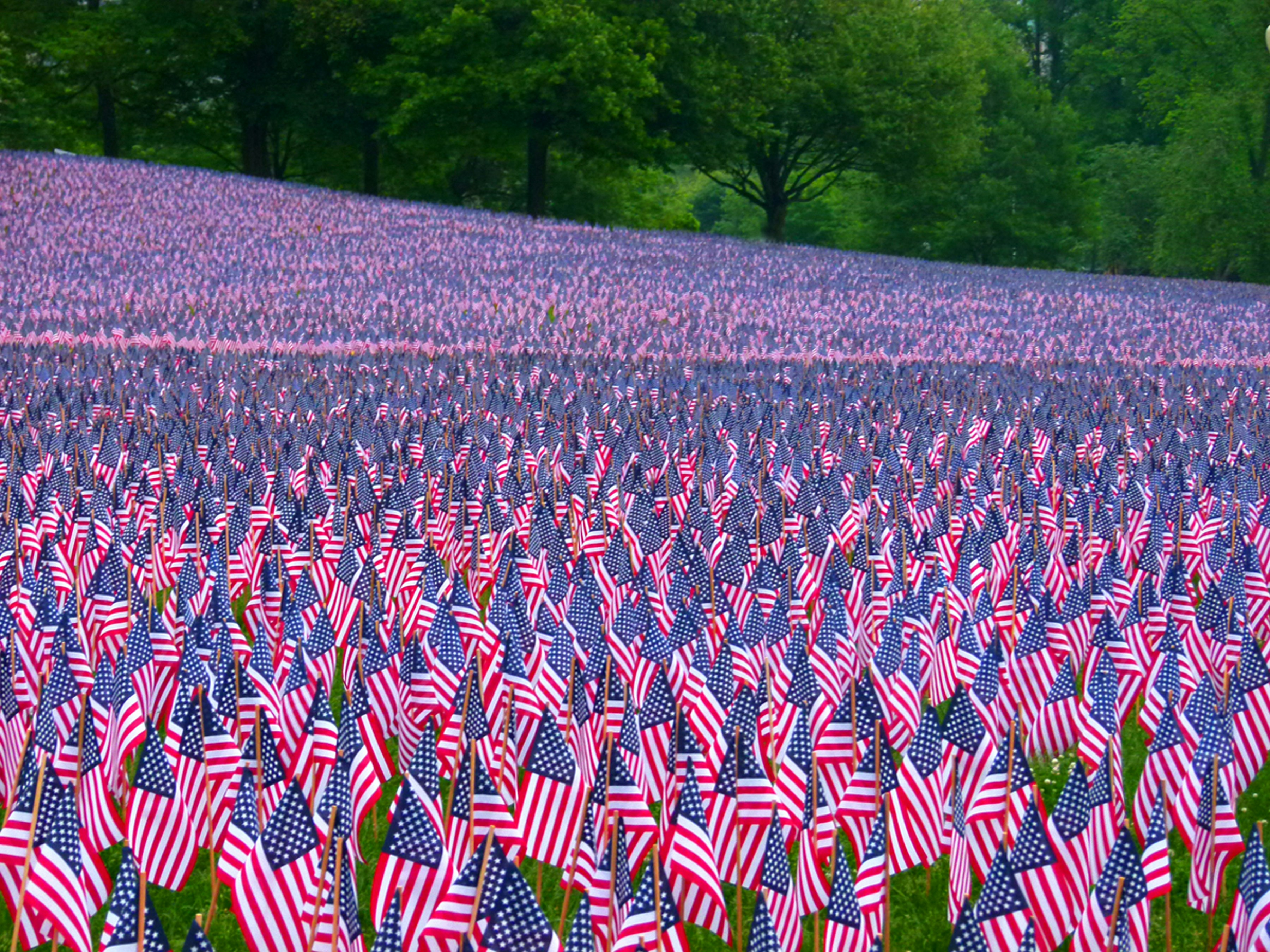 a field full of american flags with trees in the background