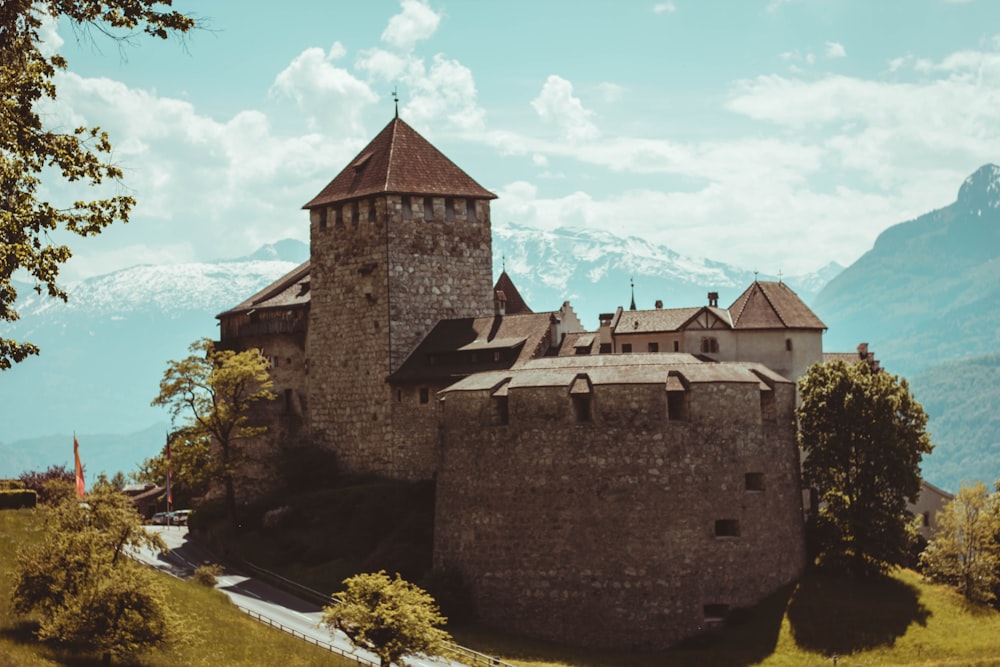 a castle with a mountain in the background