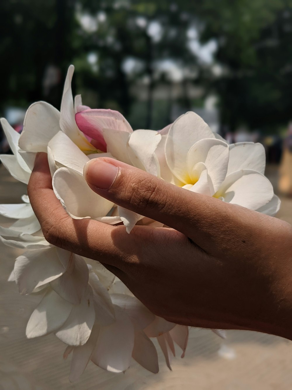 a person holding a flower in their hand