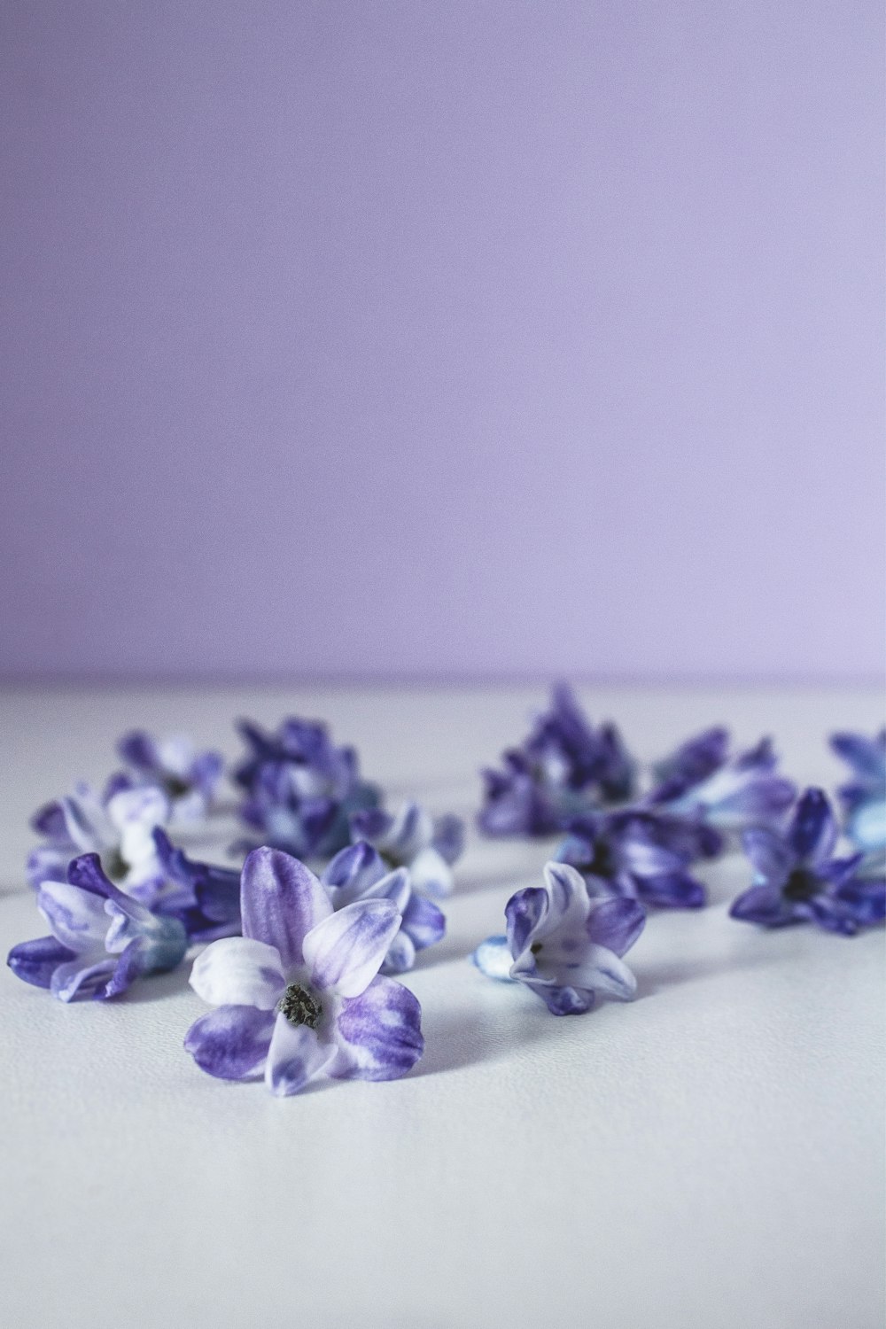 Un ramo de flores moradas y blancas sobre una mesa