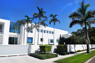 a white building with palm trees in front of it